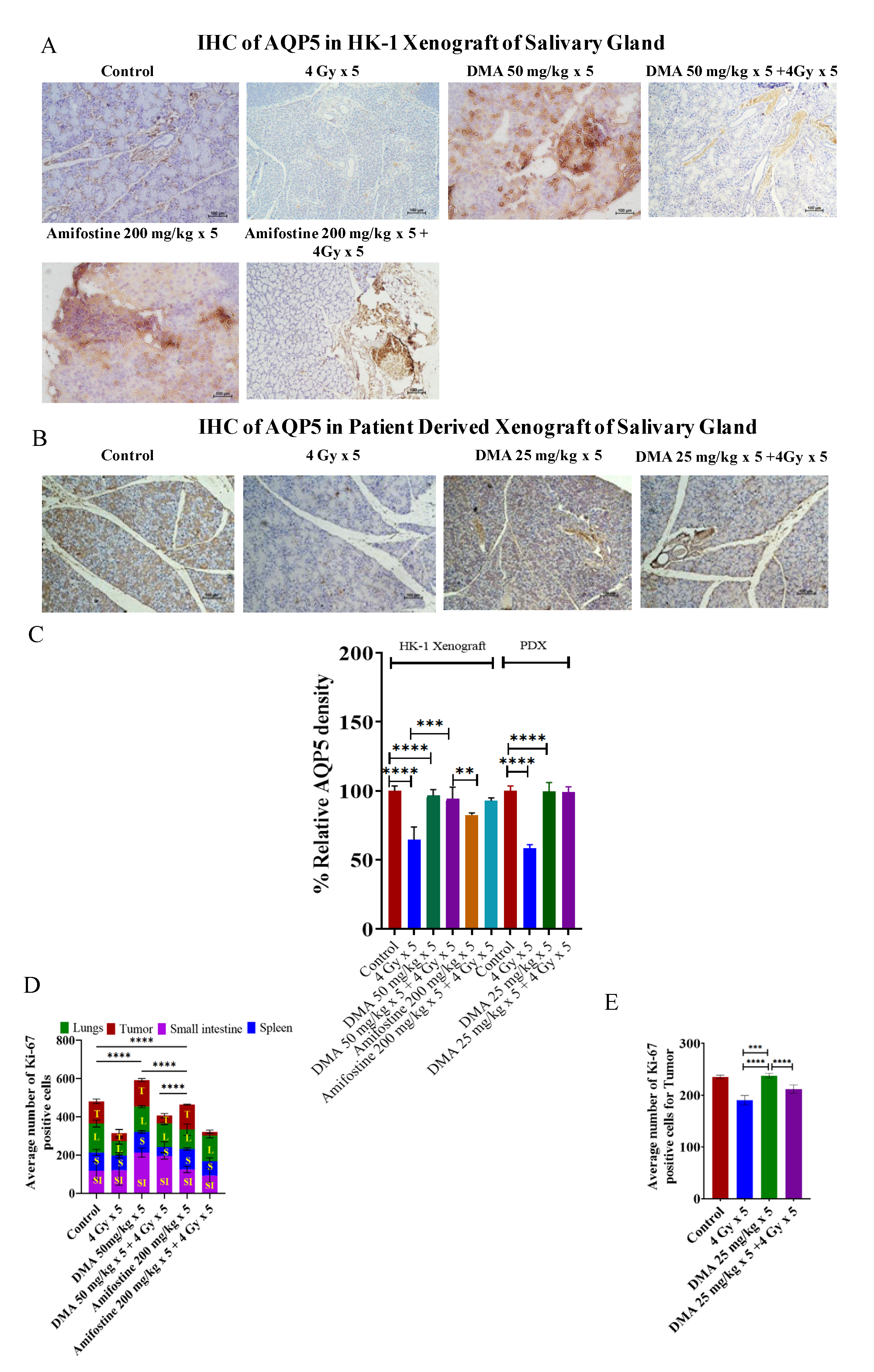 Cancers 14 04908 g005