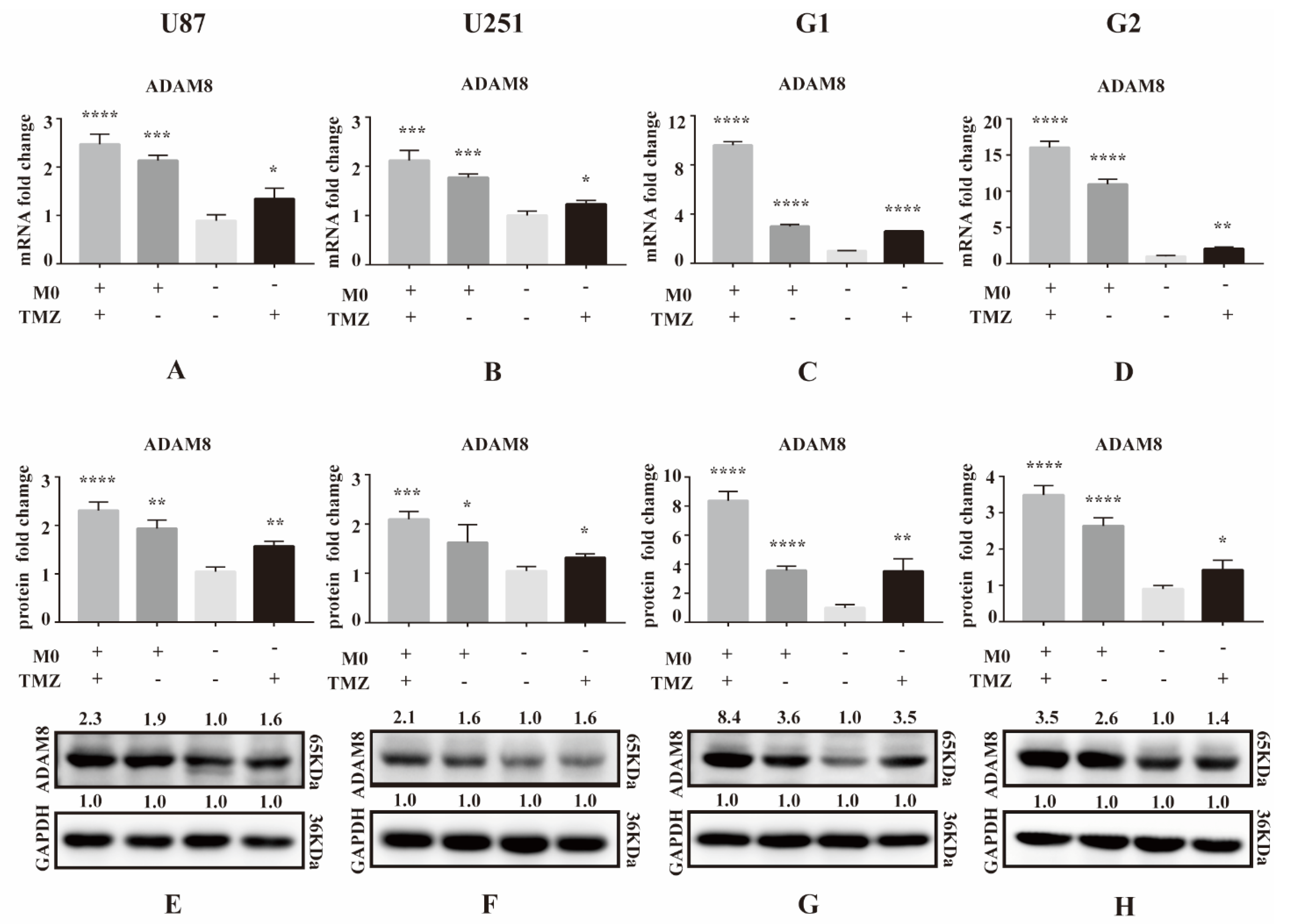 Cancers 14 04910 g001 Cancers 14 04910 g001