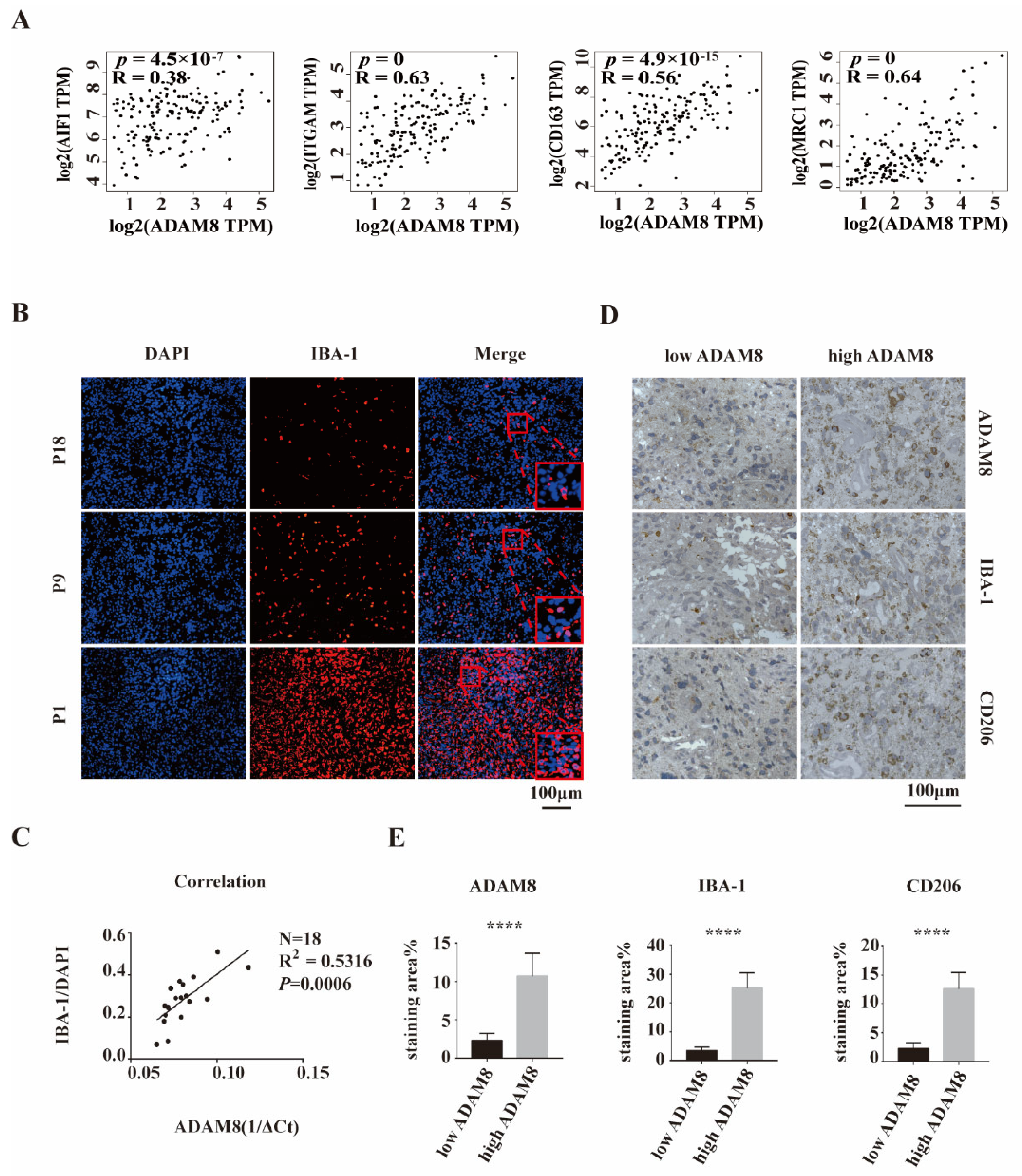 Cancers 14 04910 g002 Cancers 14 04910 g002