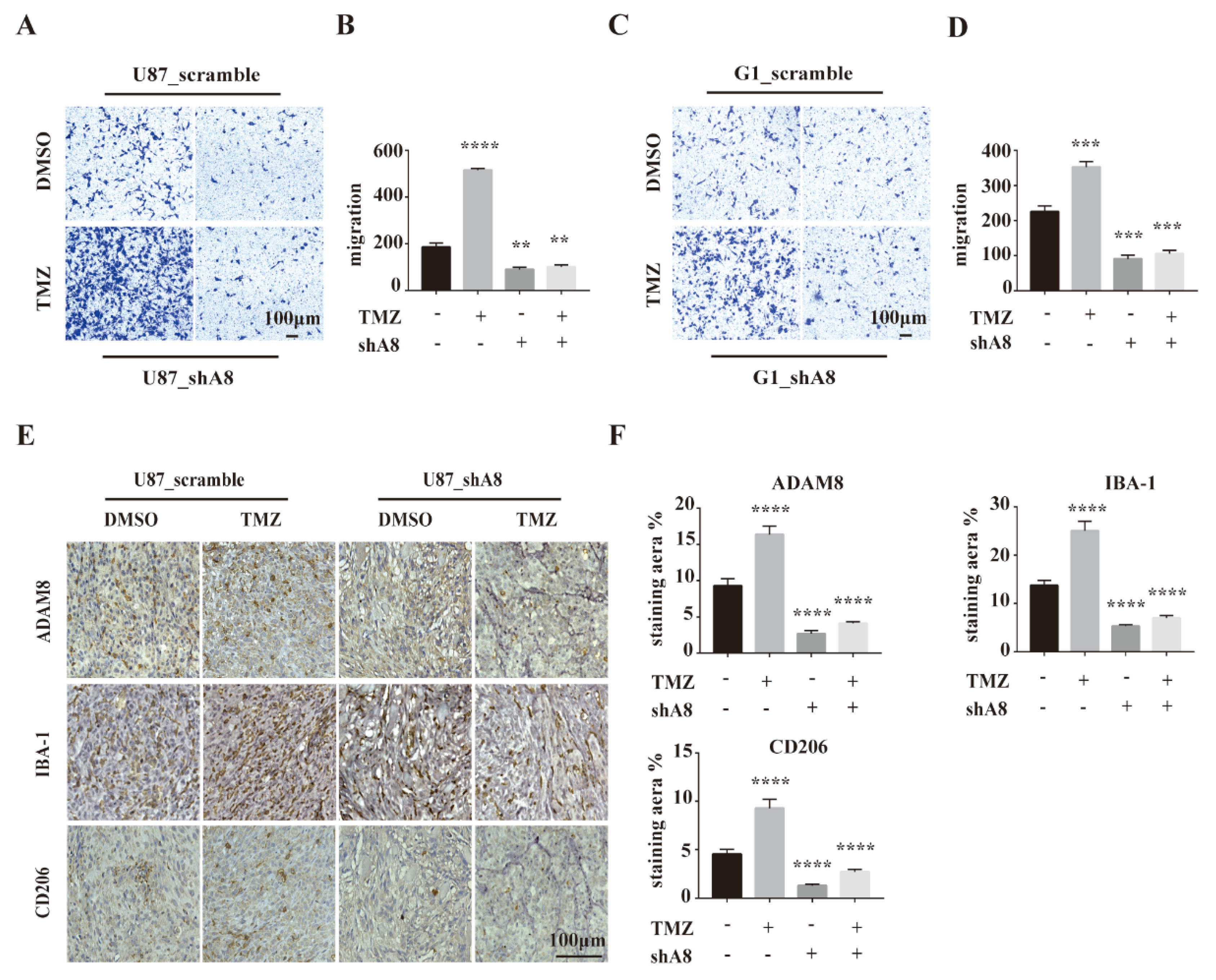 Cancers 14 04910 g003 Cancers 14 04910 g003