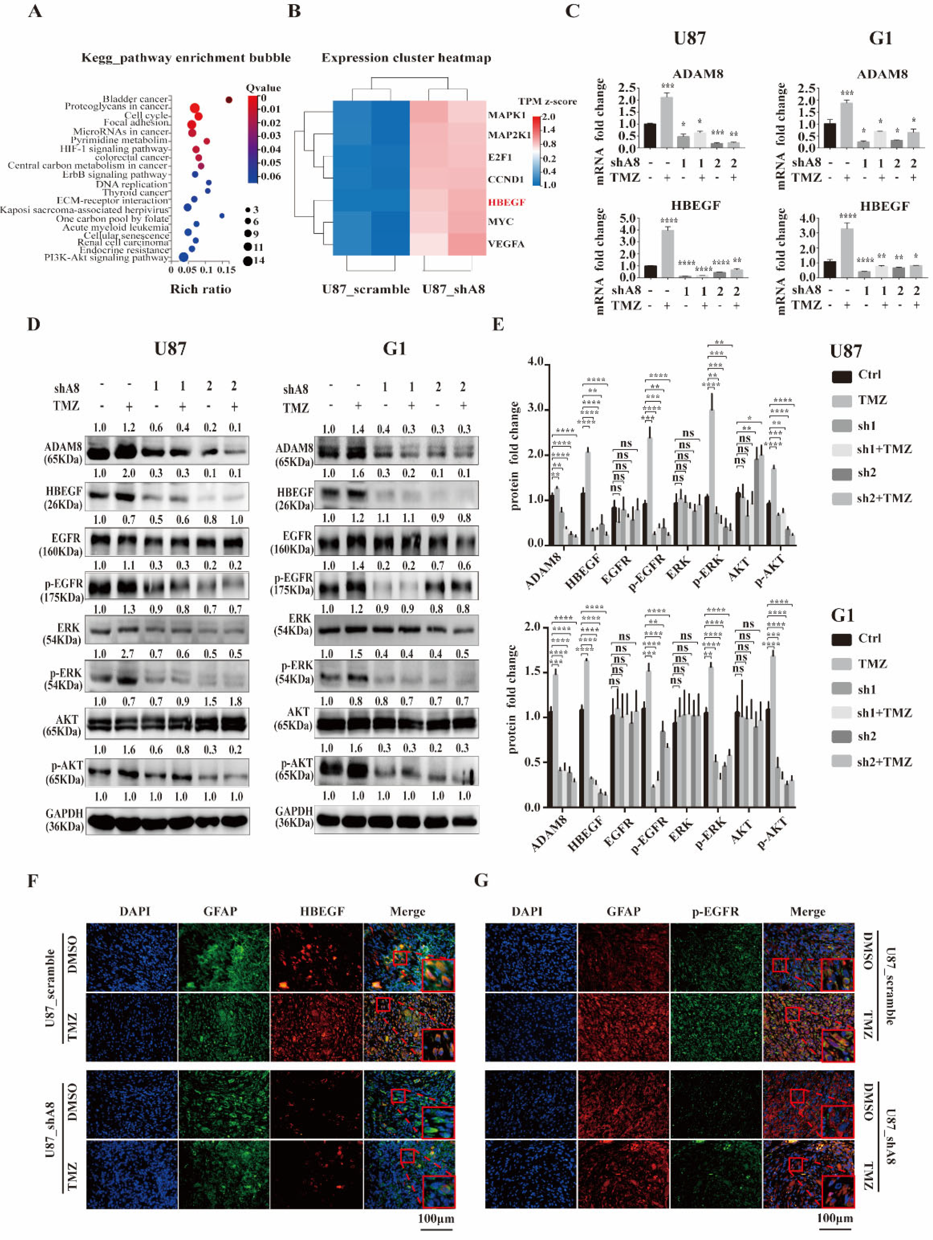 Cancers 14 04910 g004 Cancers 14 04910 g004