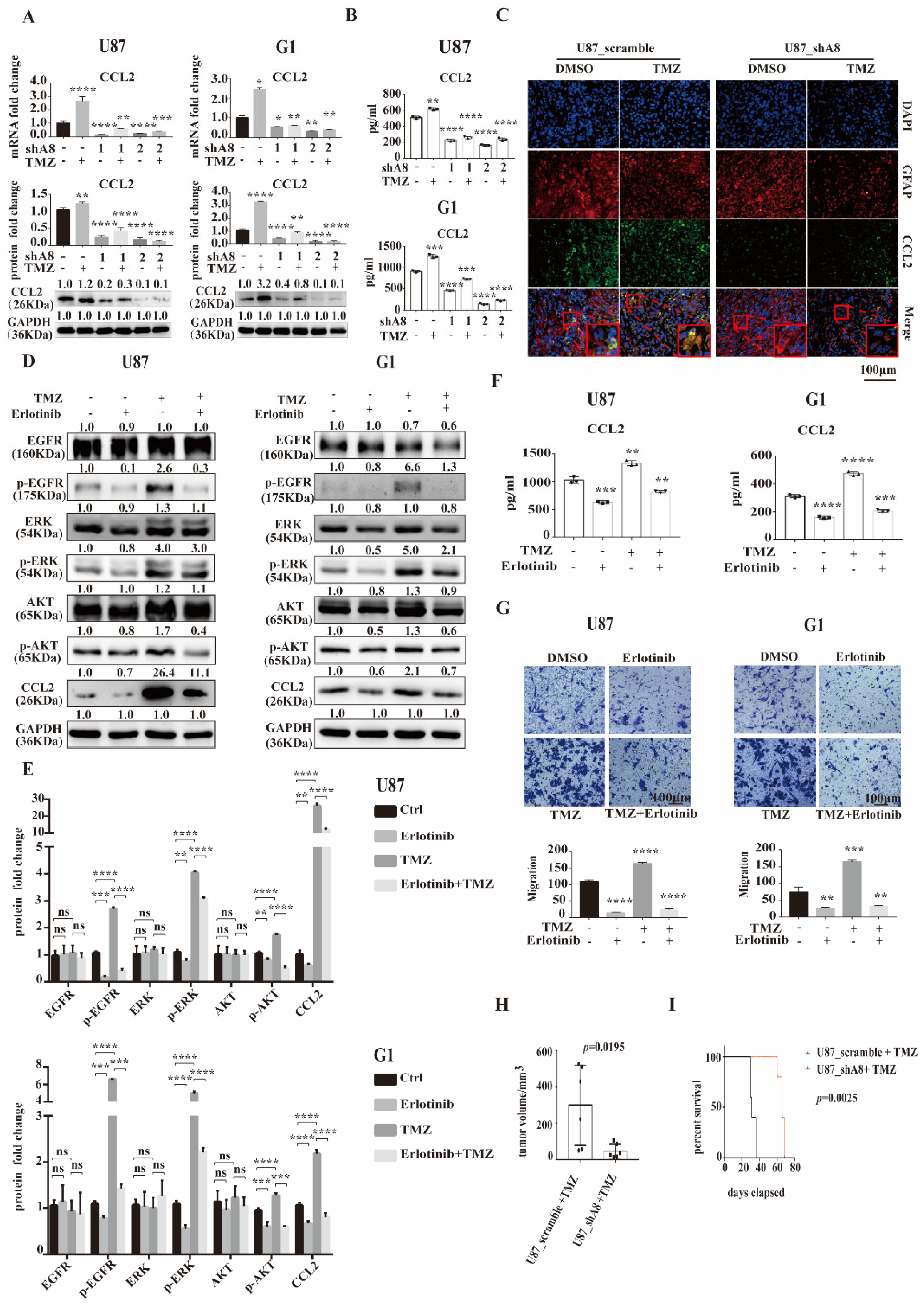 Cancers 14 04910 g005 Cancers 14 04910 g005