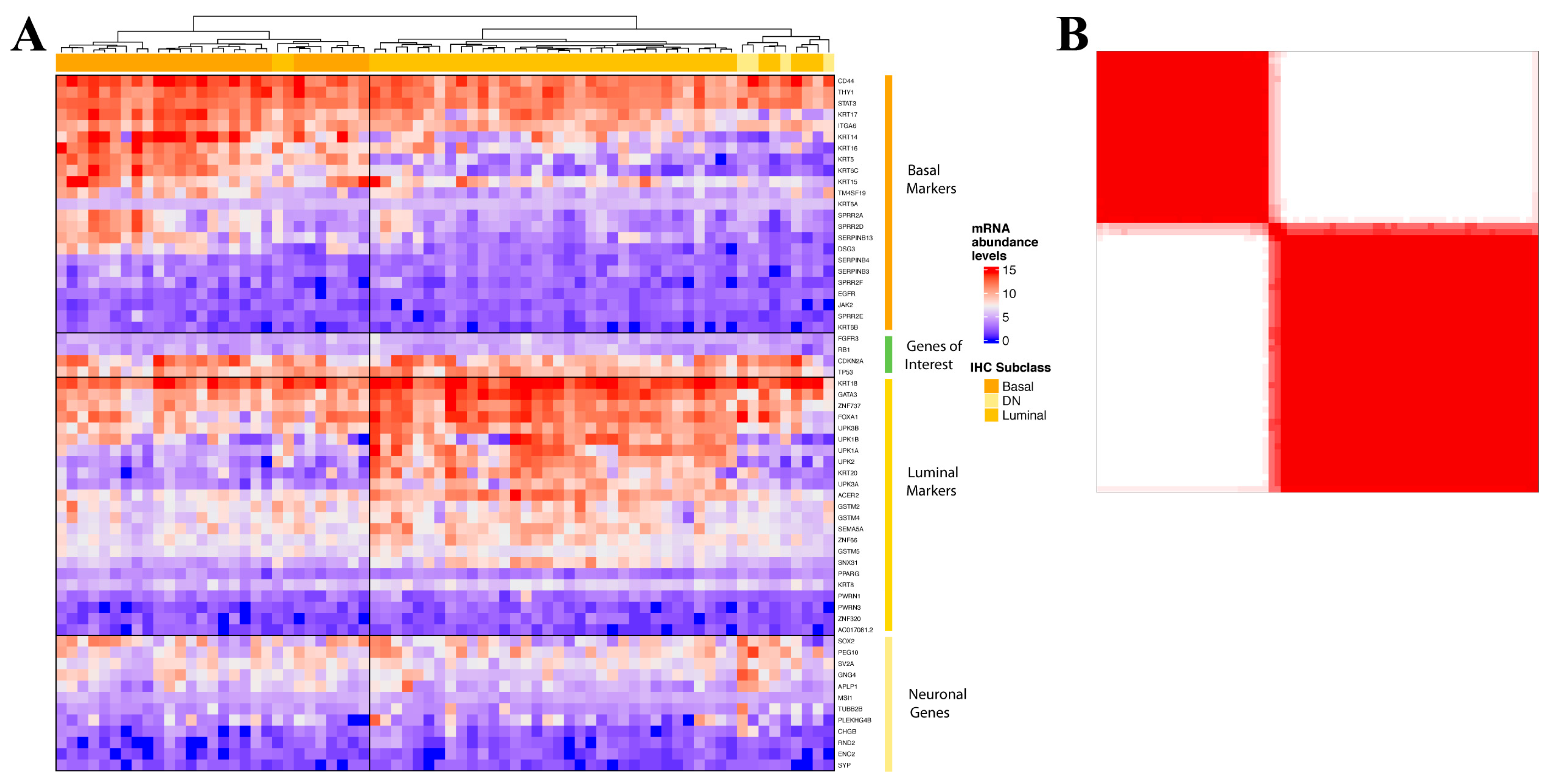 Cancers 14 04911 g001