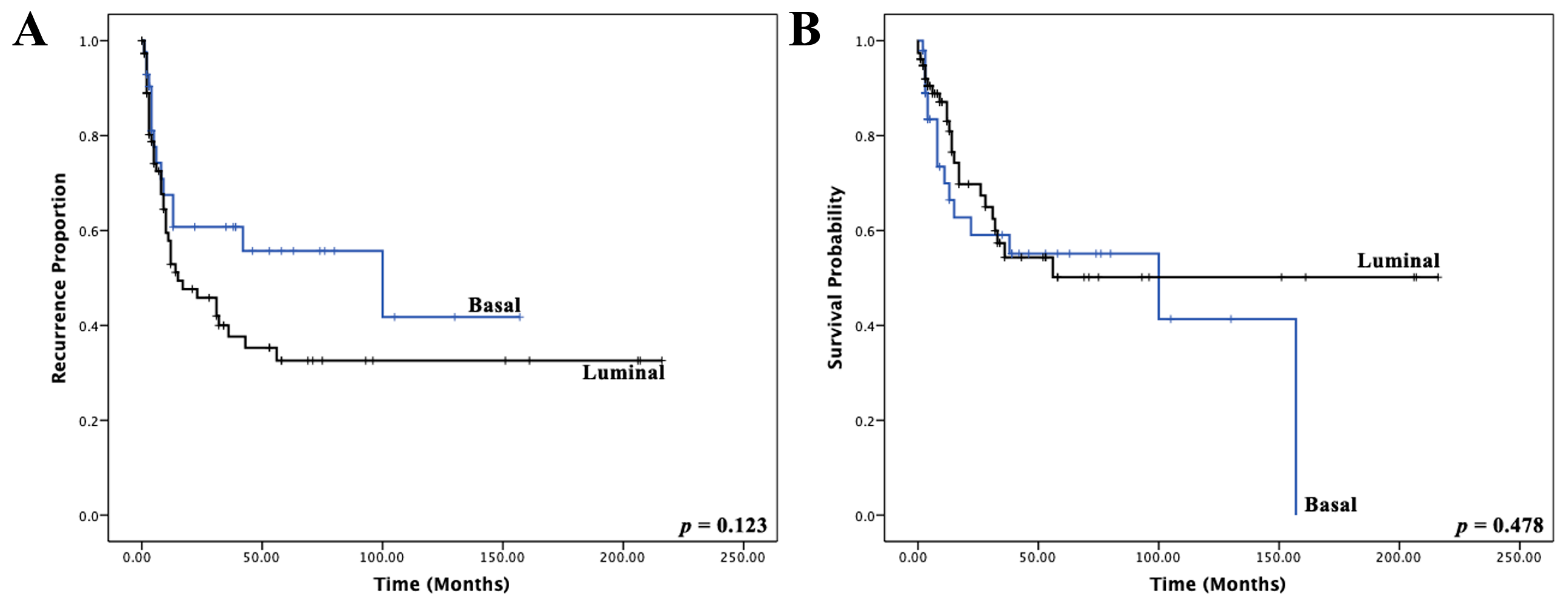 Cancers 14 04911 g005