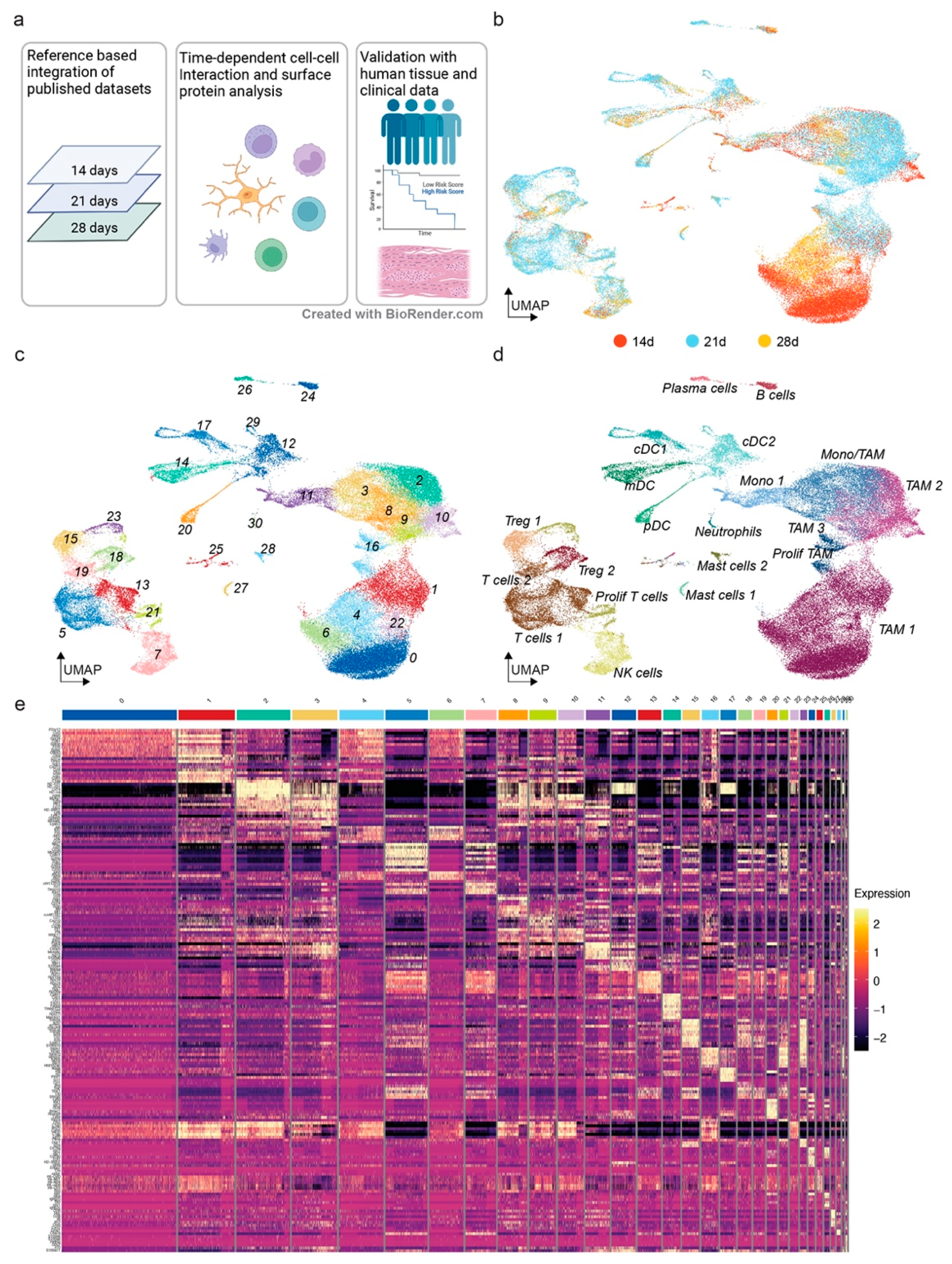 Cancers 14 04915 g001 Cancers 14 04915 g001