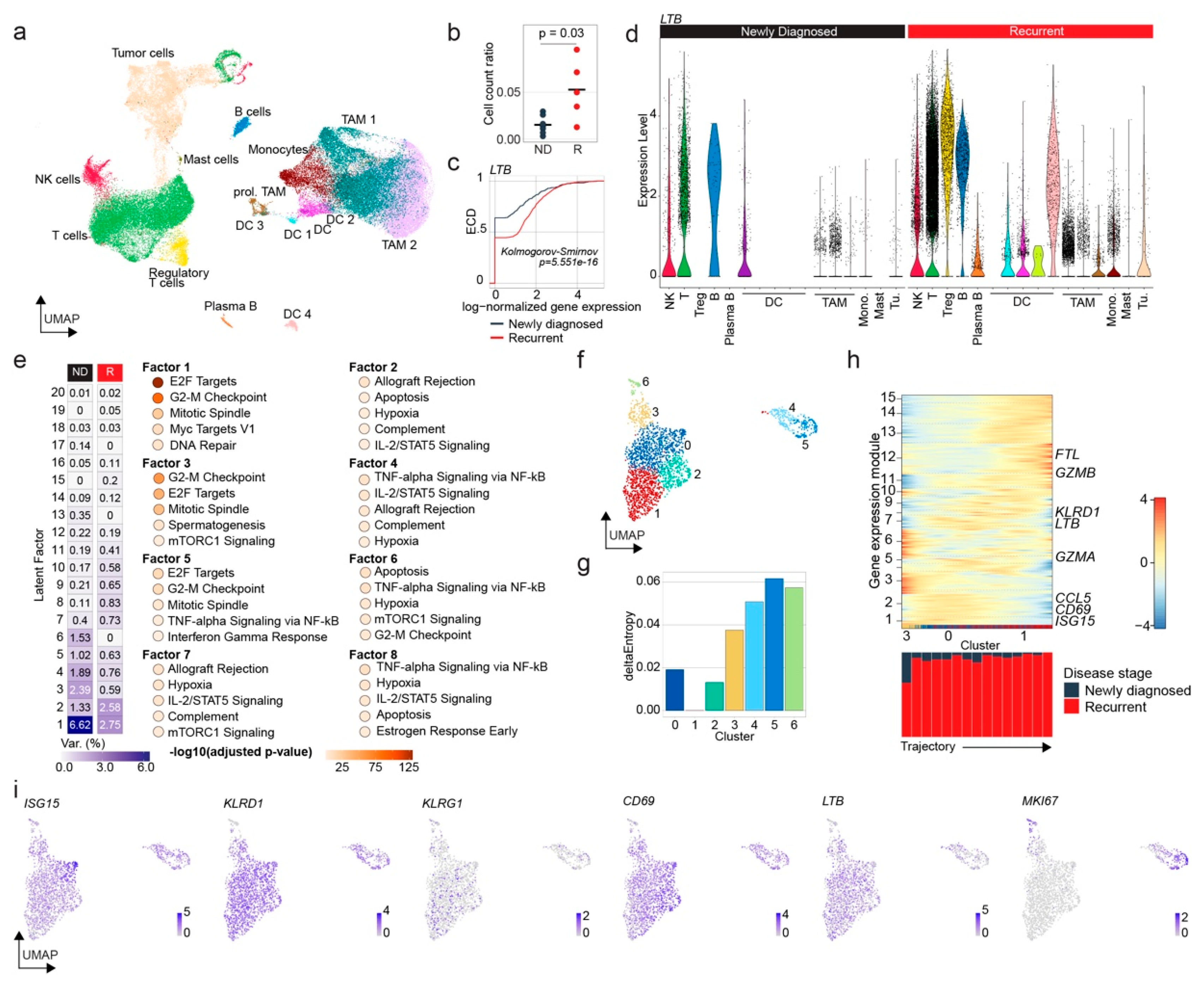 Cancers 14 04915 g004 Cancers 14 04915 g004