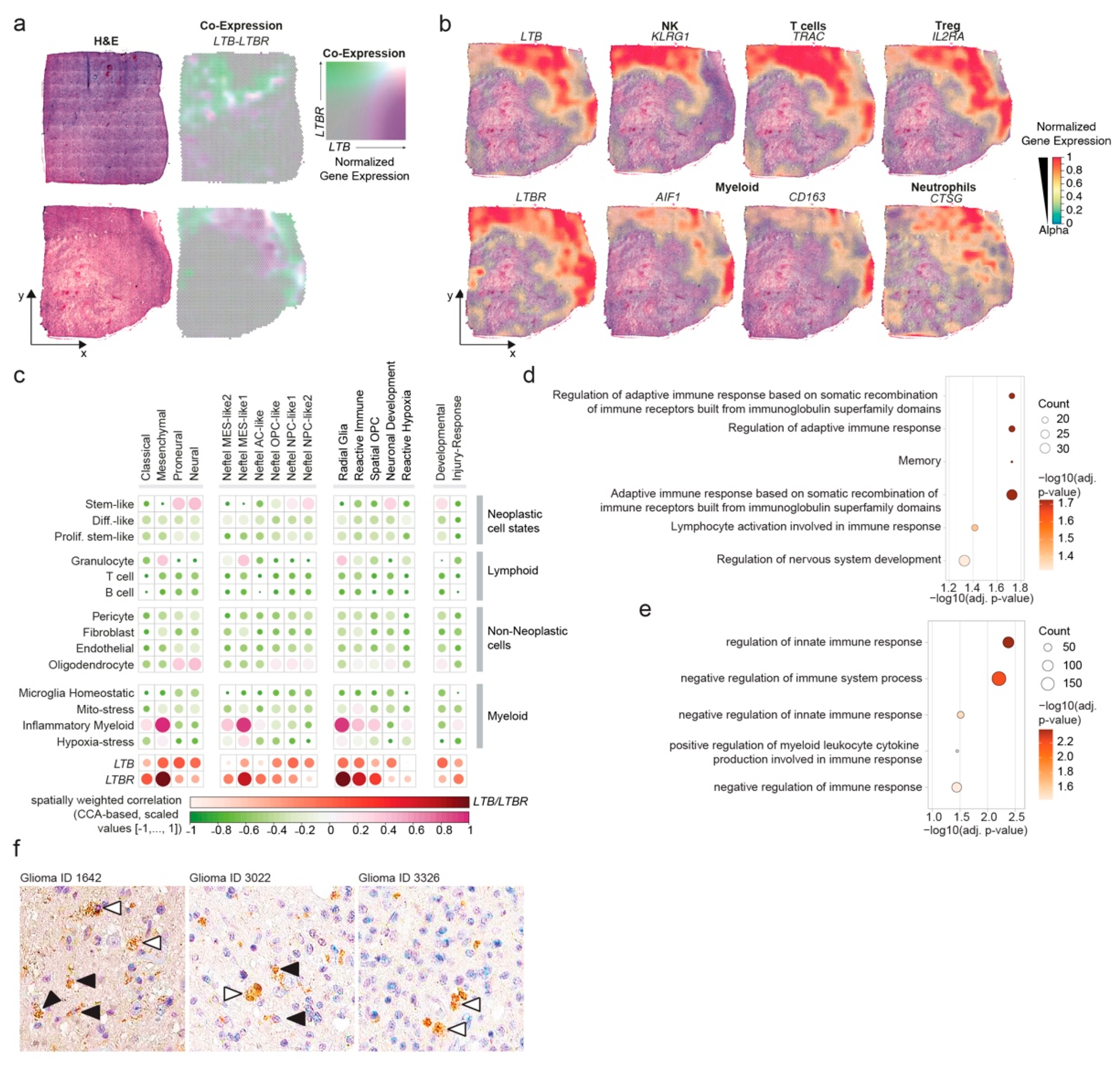 Cancers 14 04915 g005 Cancers 14 04915 g005