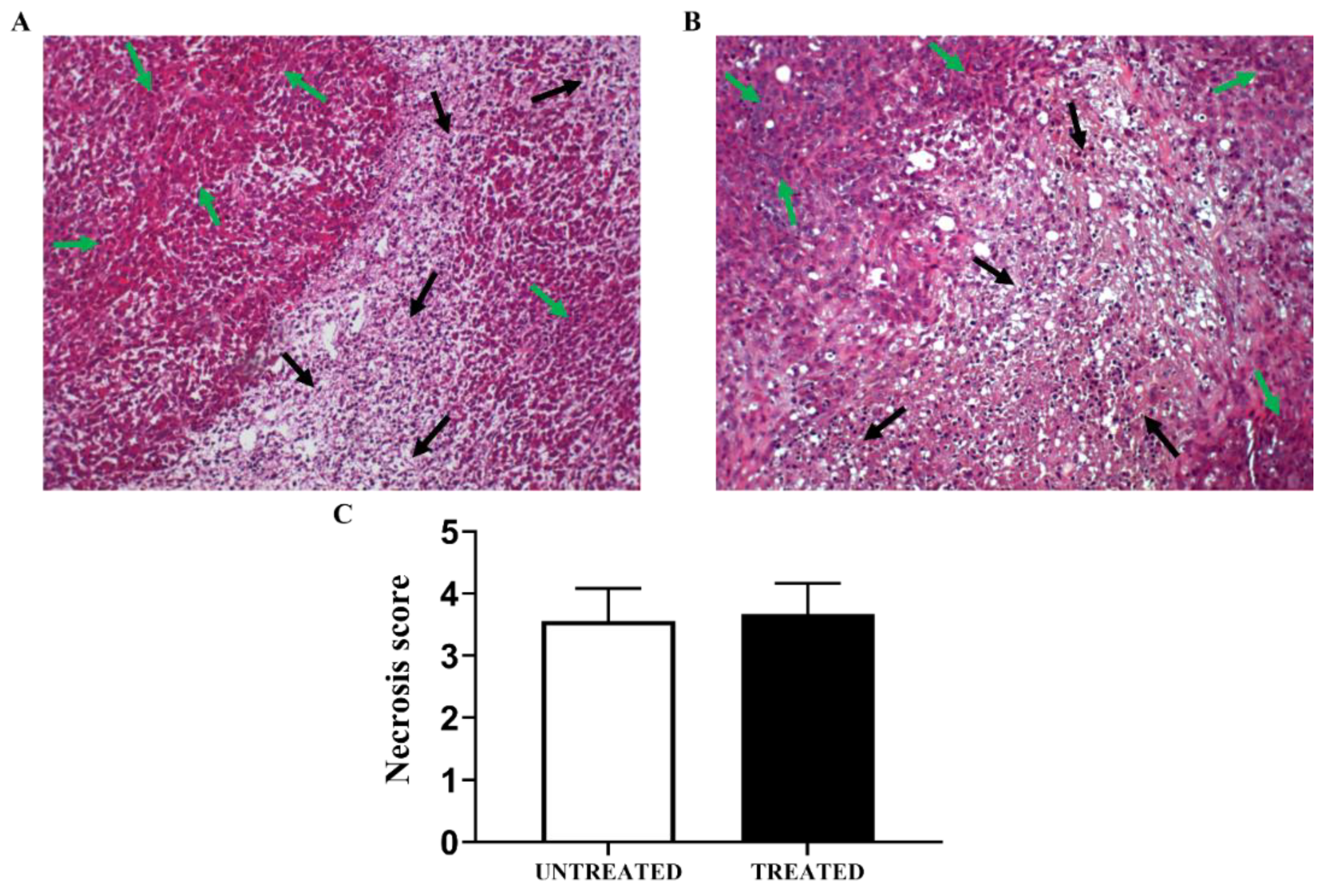 Cancers 14 04916 g007