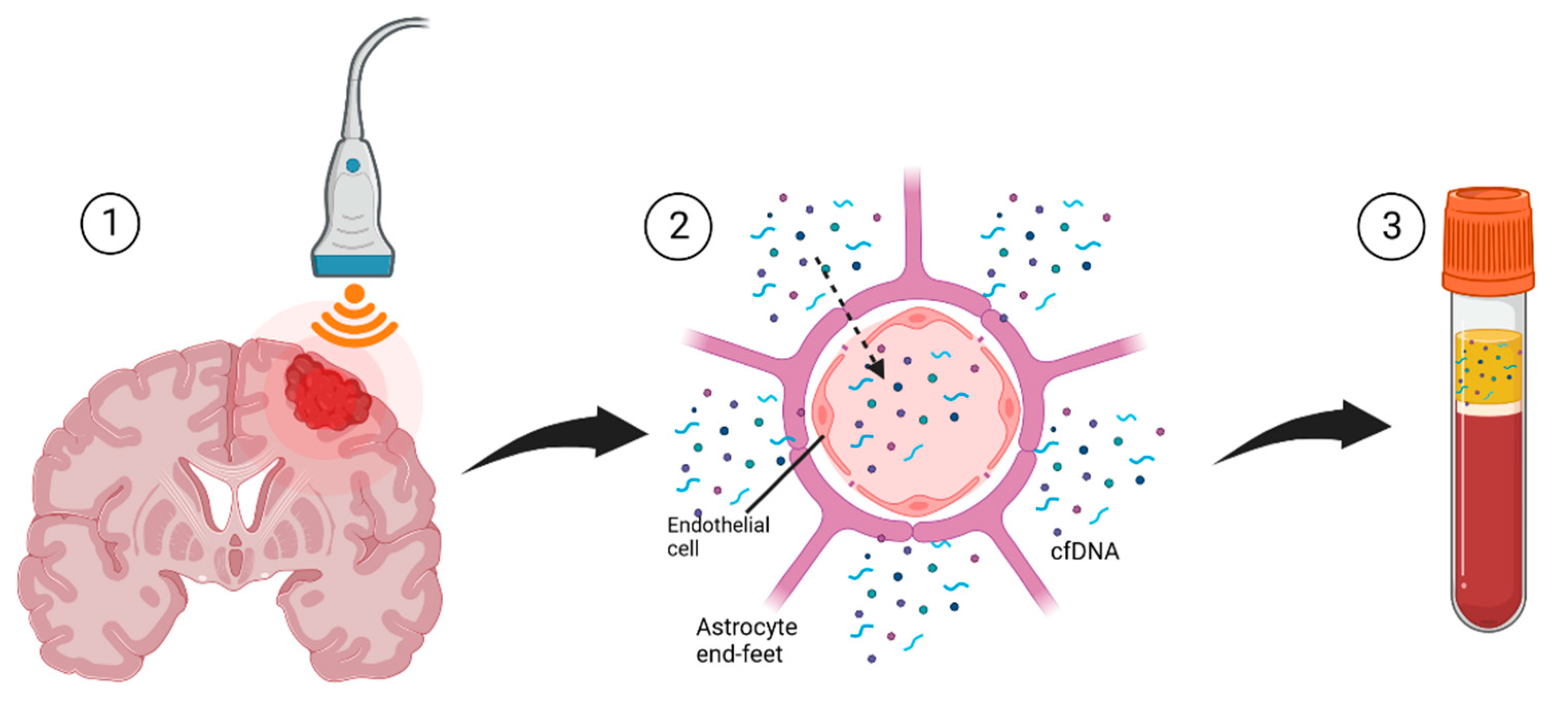 Cancers 14 04920 g003 Cancers 14 04920 g003