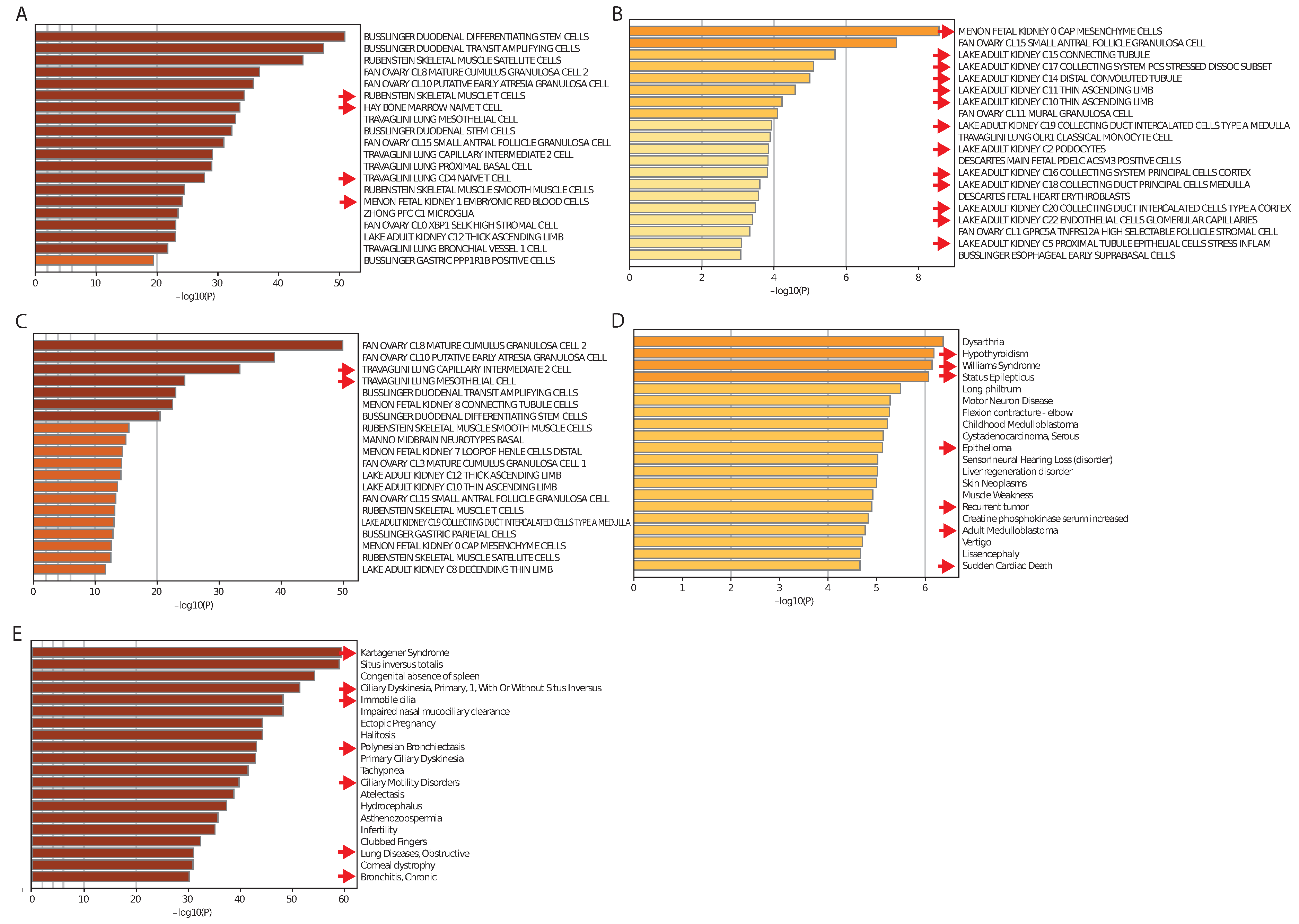 Cancers 14 04939 g004 Cancers 14 04939 g004