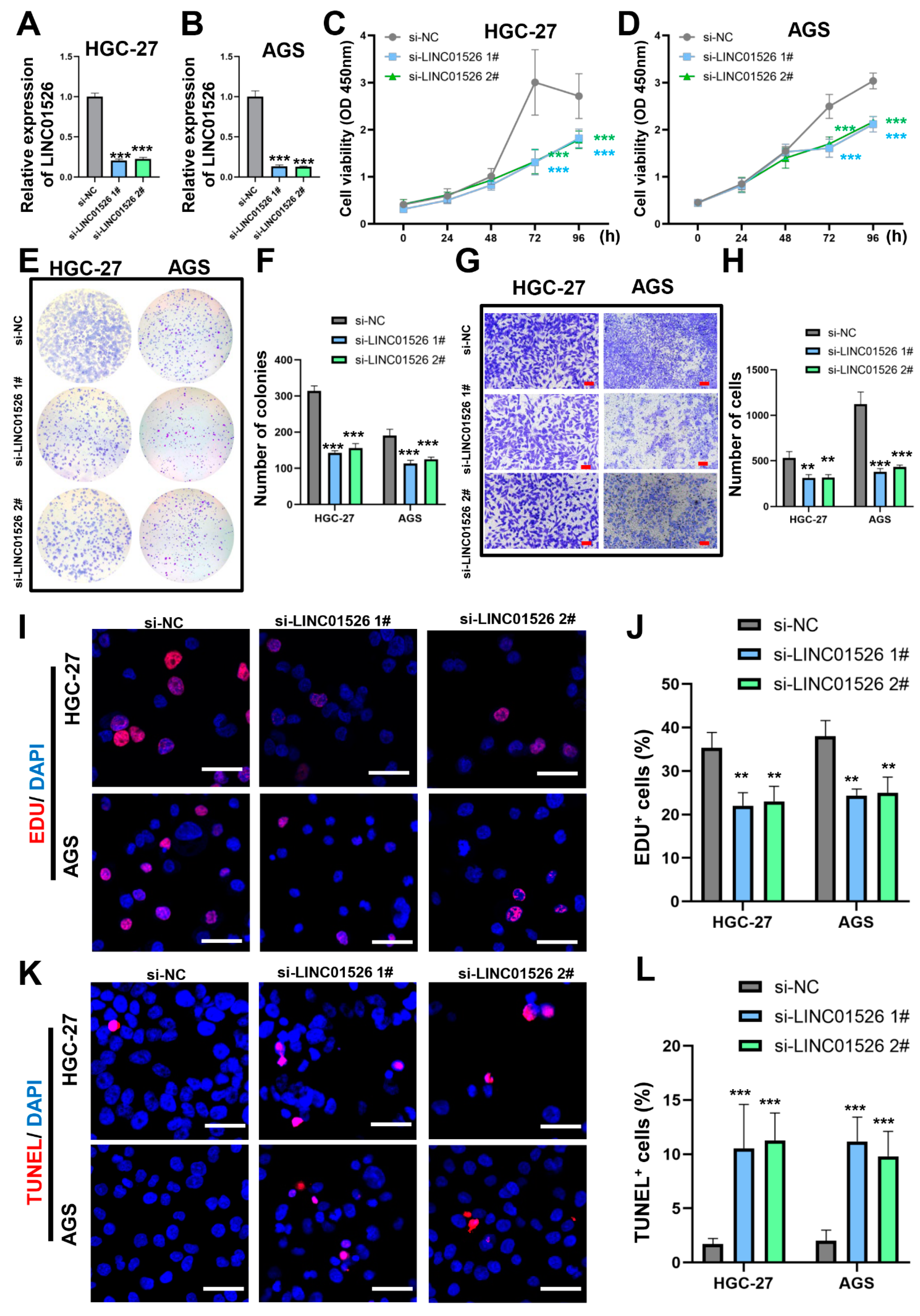 Cancers 14 04940 g002