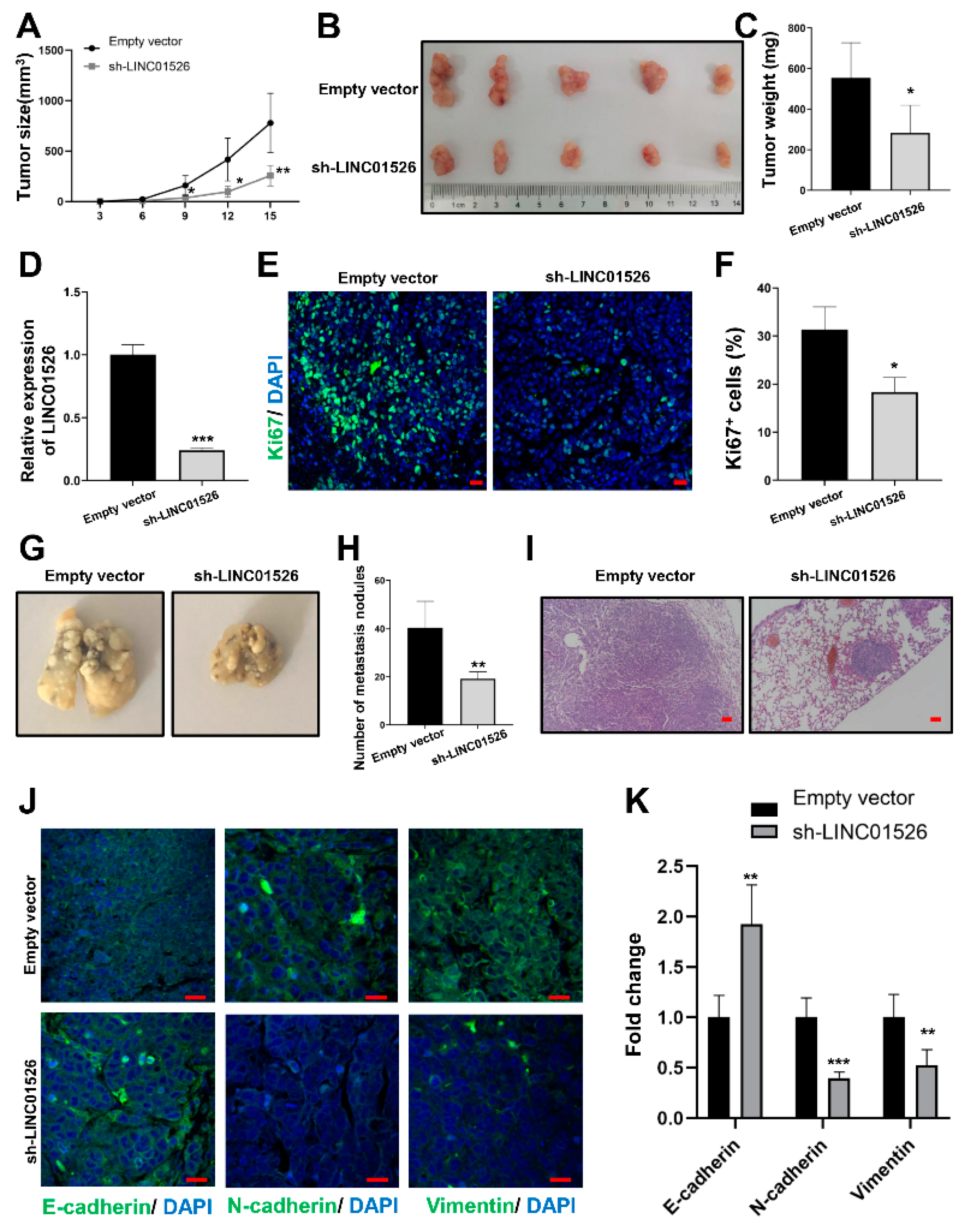 Cancers 14 04940 g003
