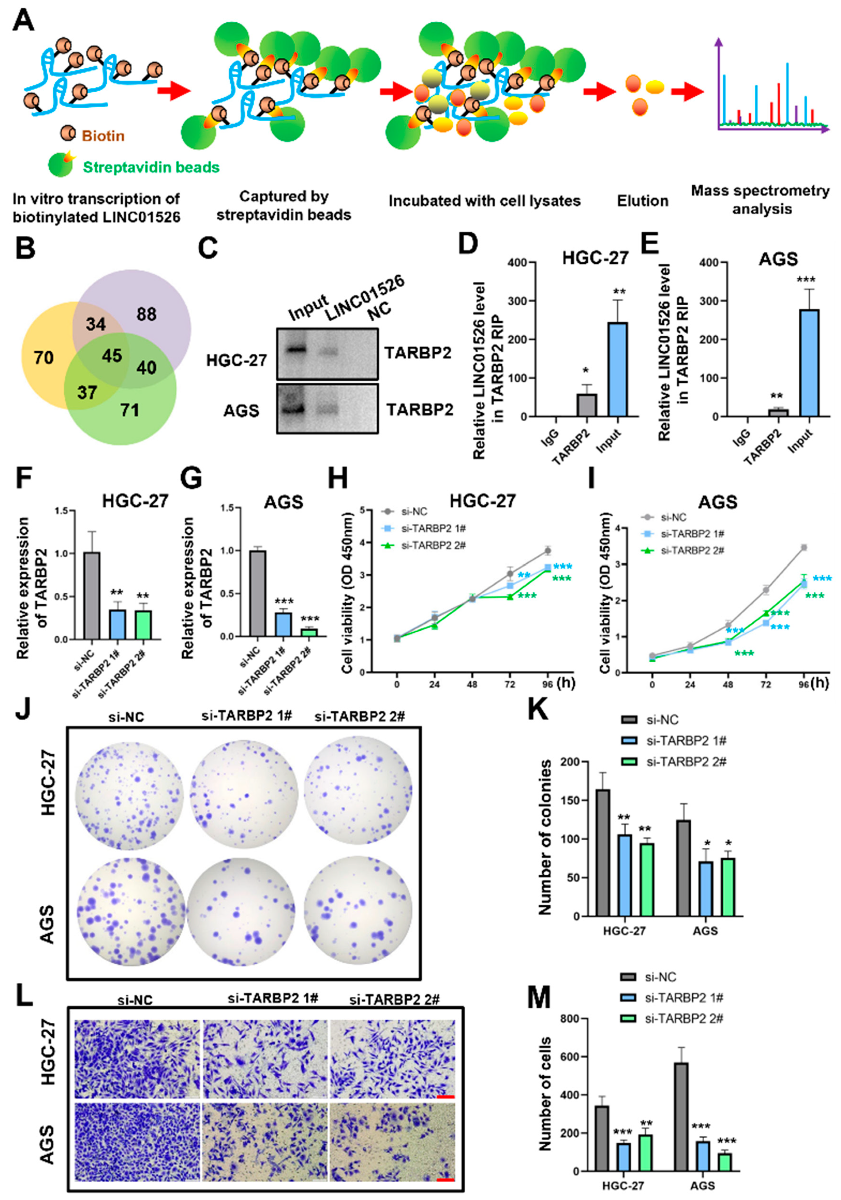 Cancers 14 04940 g004