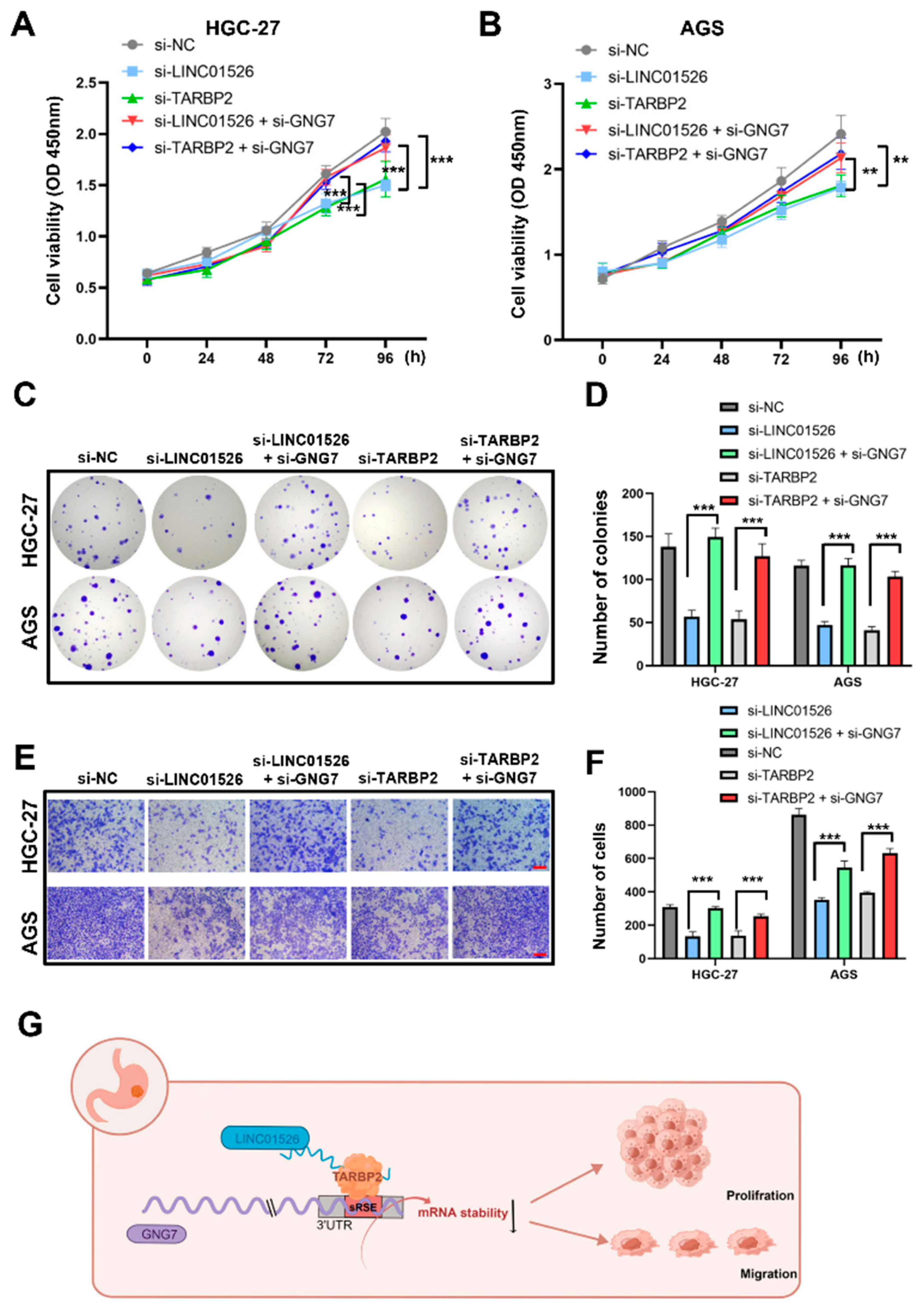 Cancers 14 04940 g007