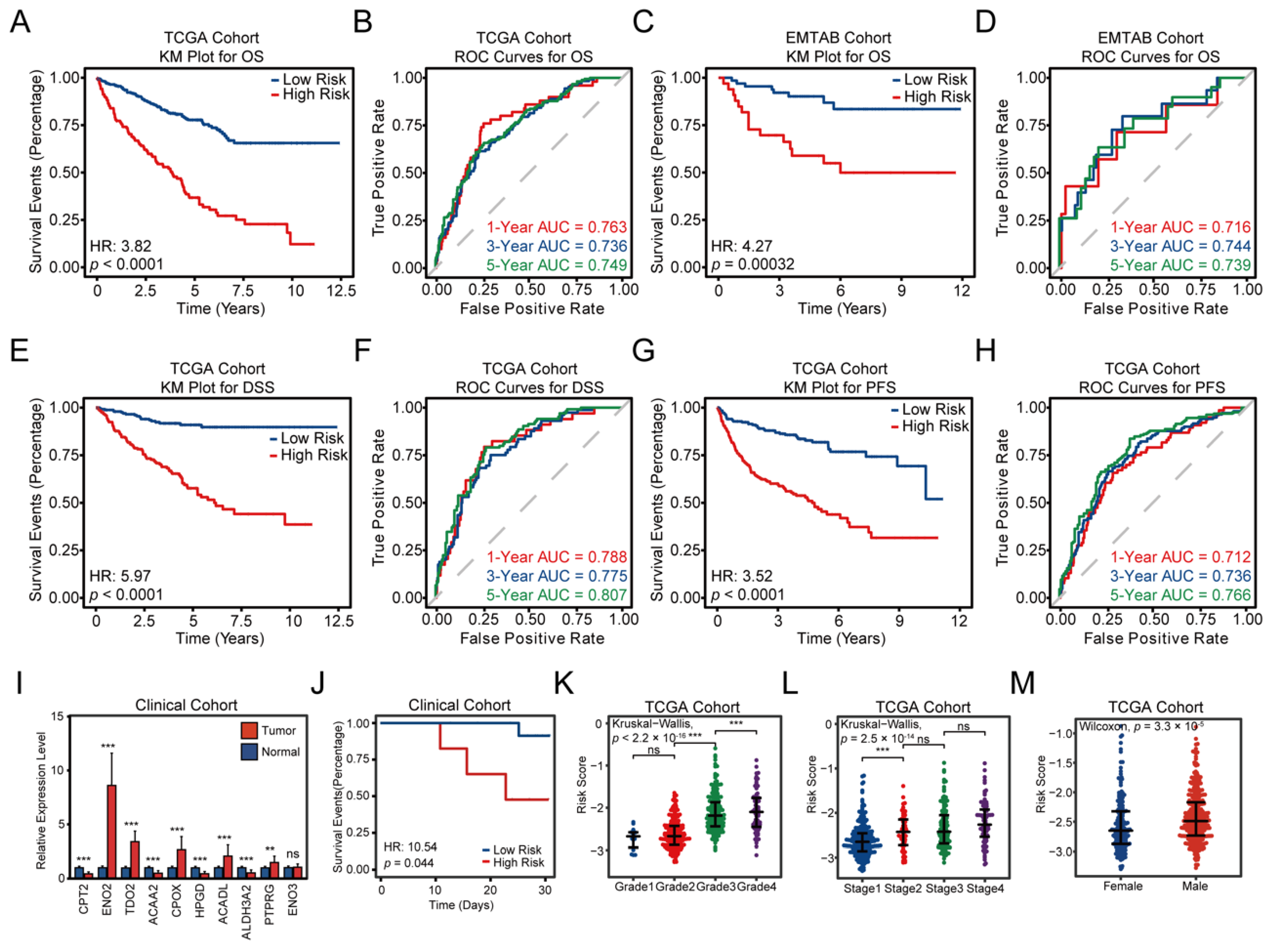 Cancers 14 04943 g003