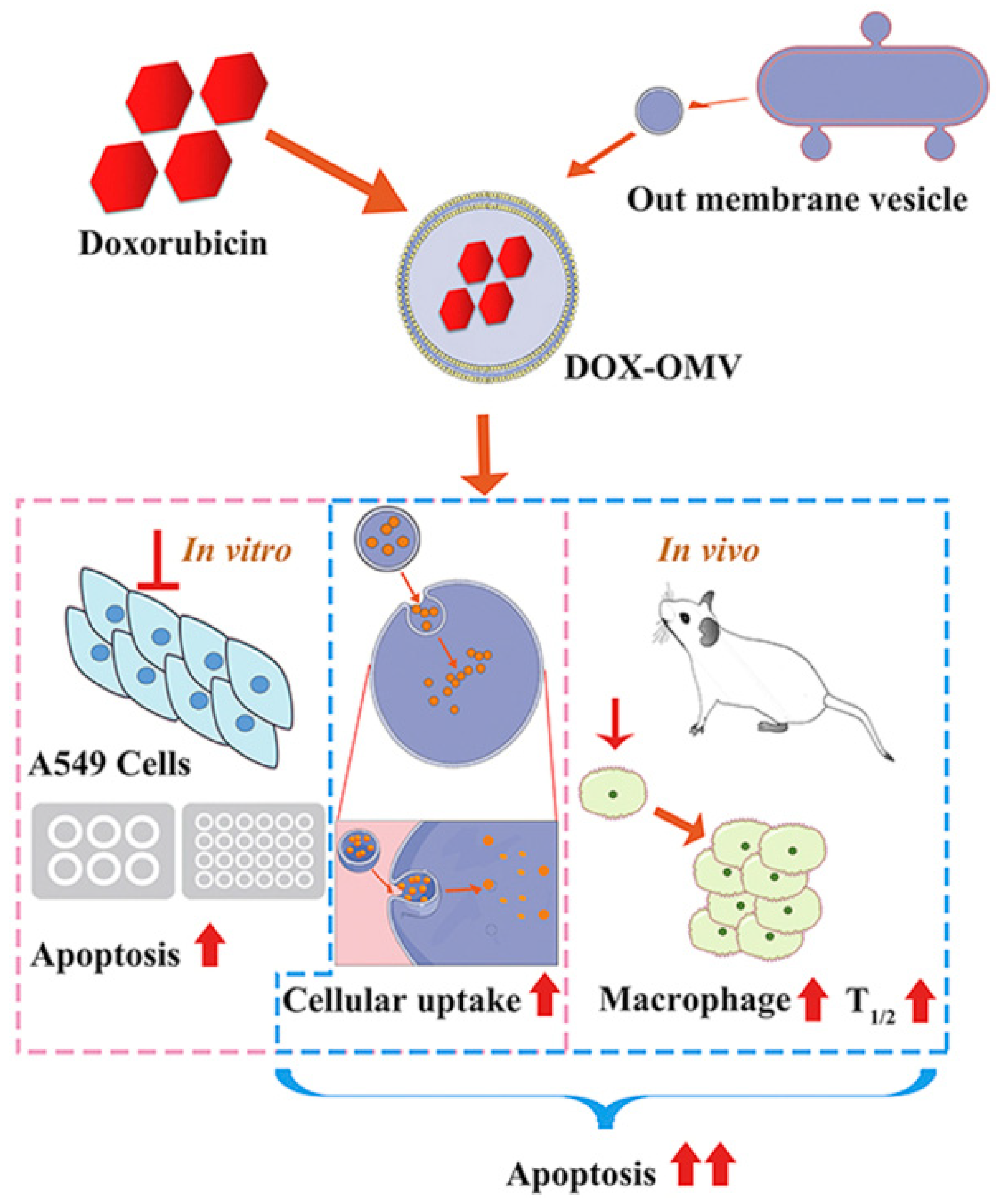 Cancers 14 04945 g002