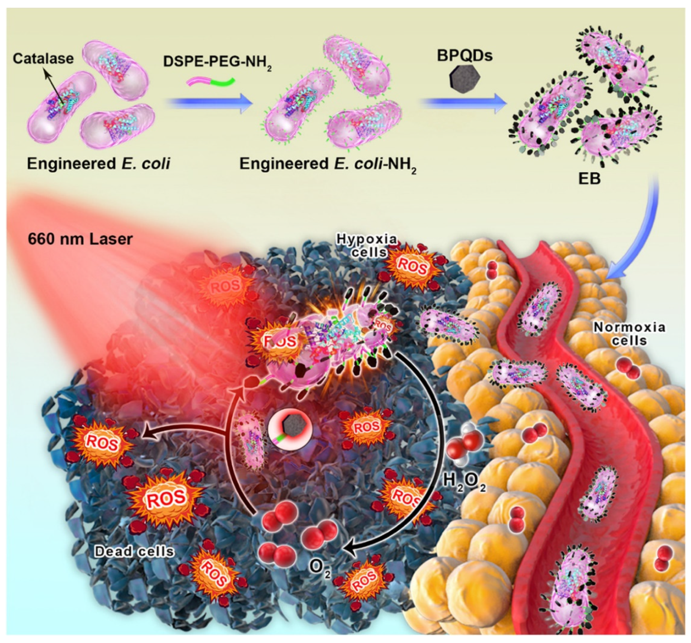 Cancers 14 04945 g008