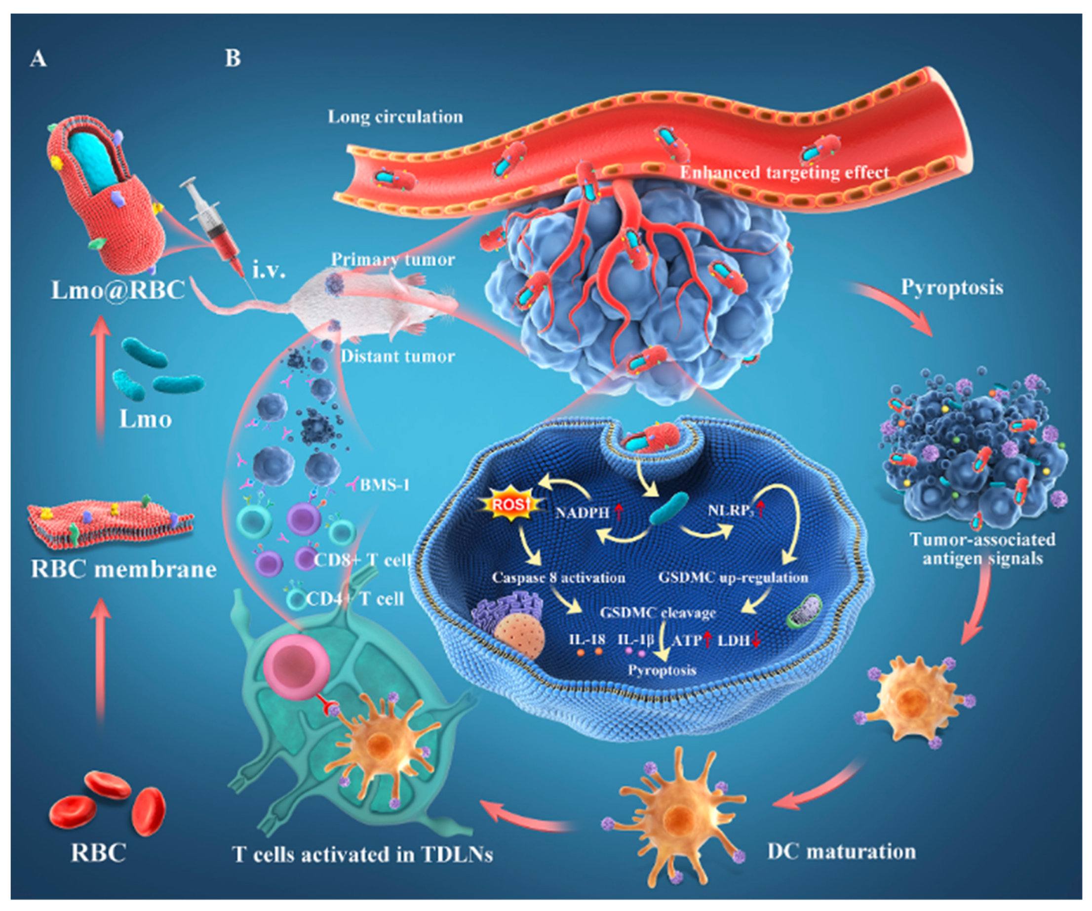 Cancers 14 04945 g009