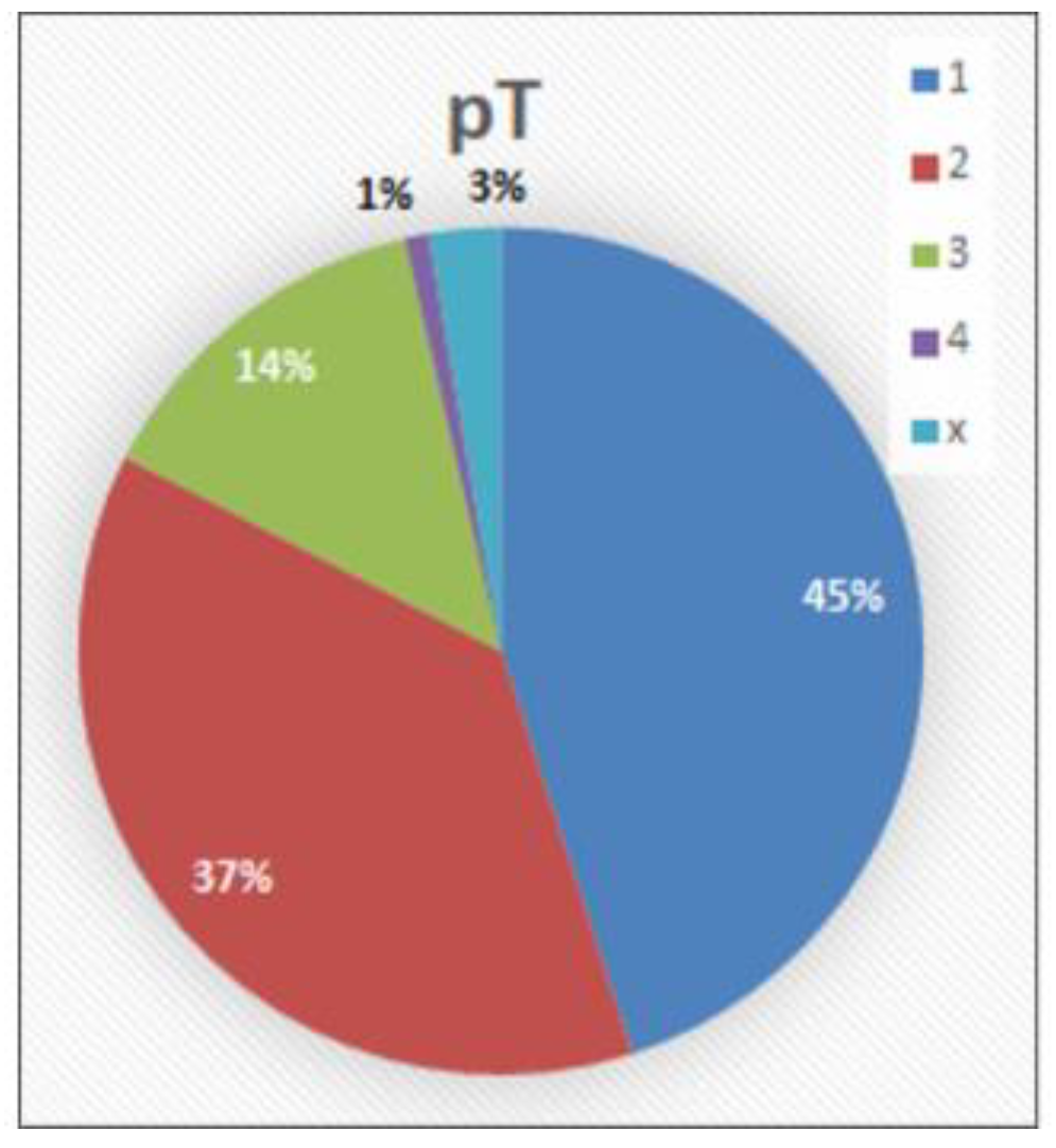 Cancers 14 04949 g005 Cancers 14 04949 g005