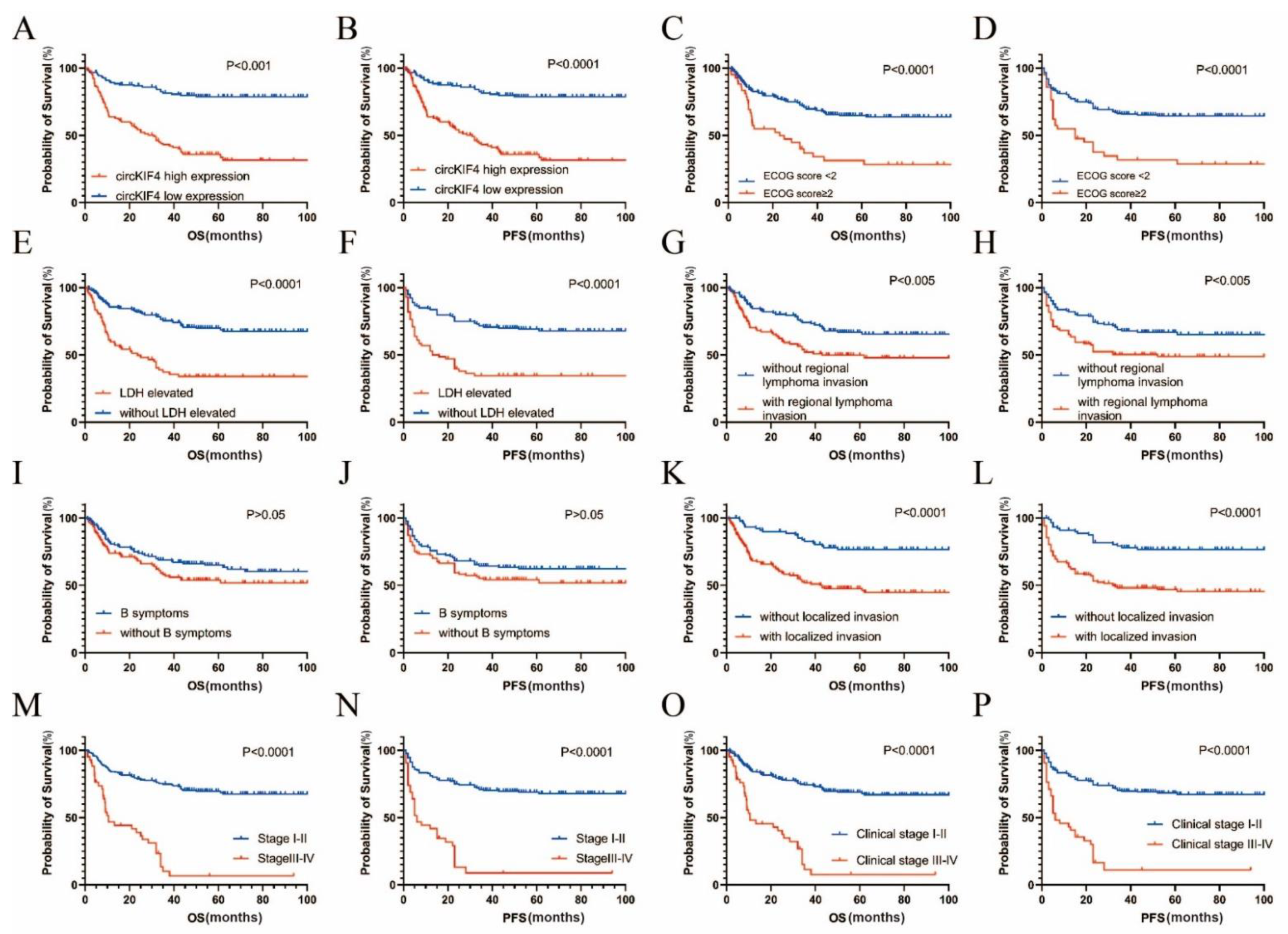 Cancers 14 04950 g002