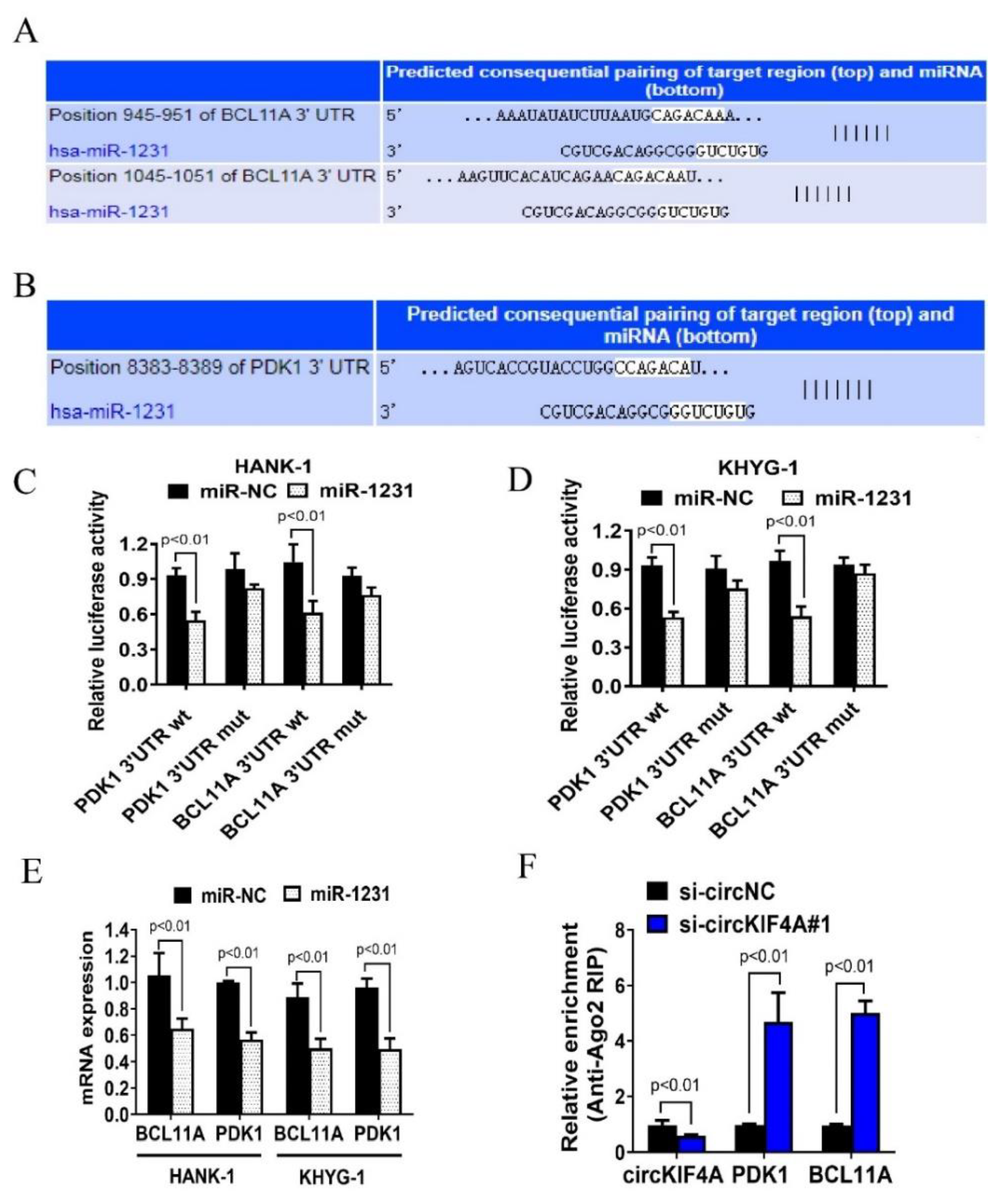 Cancers 14 04950 g005