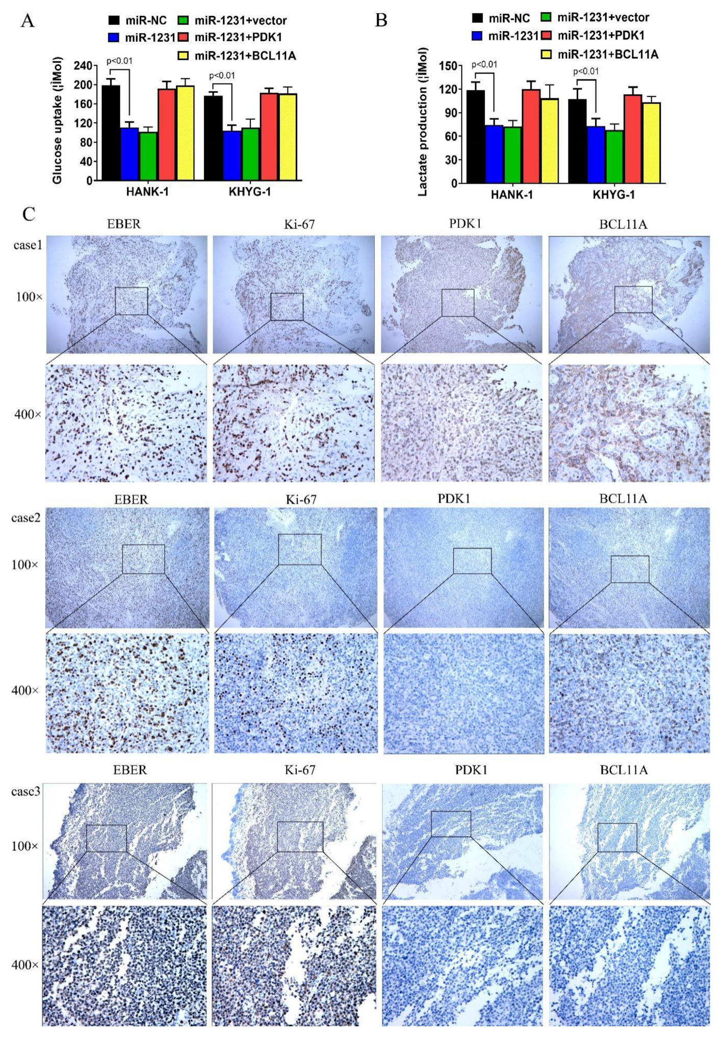 Cancers 14 04950 g006