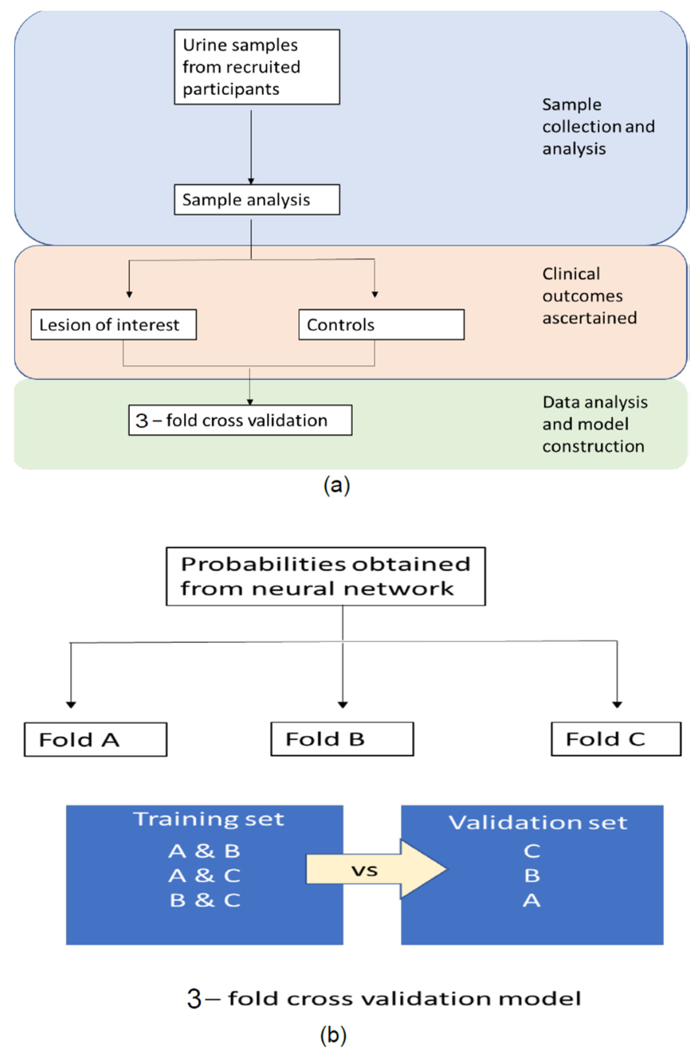 Cancers 14 04951 g003