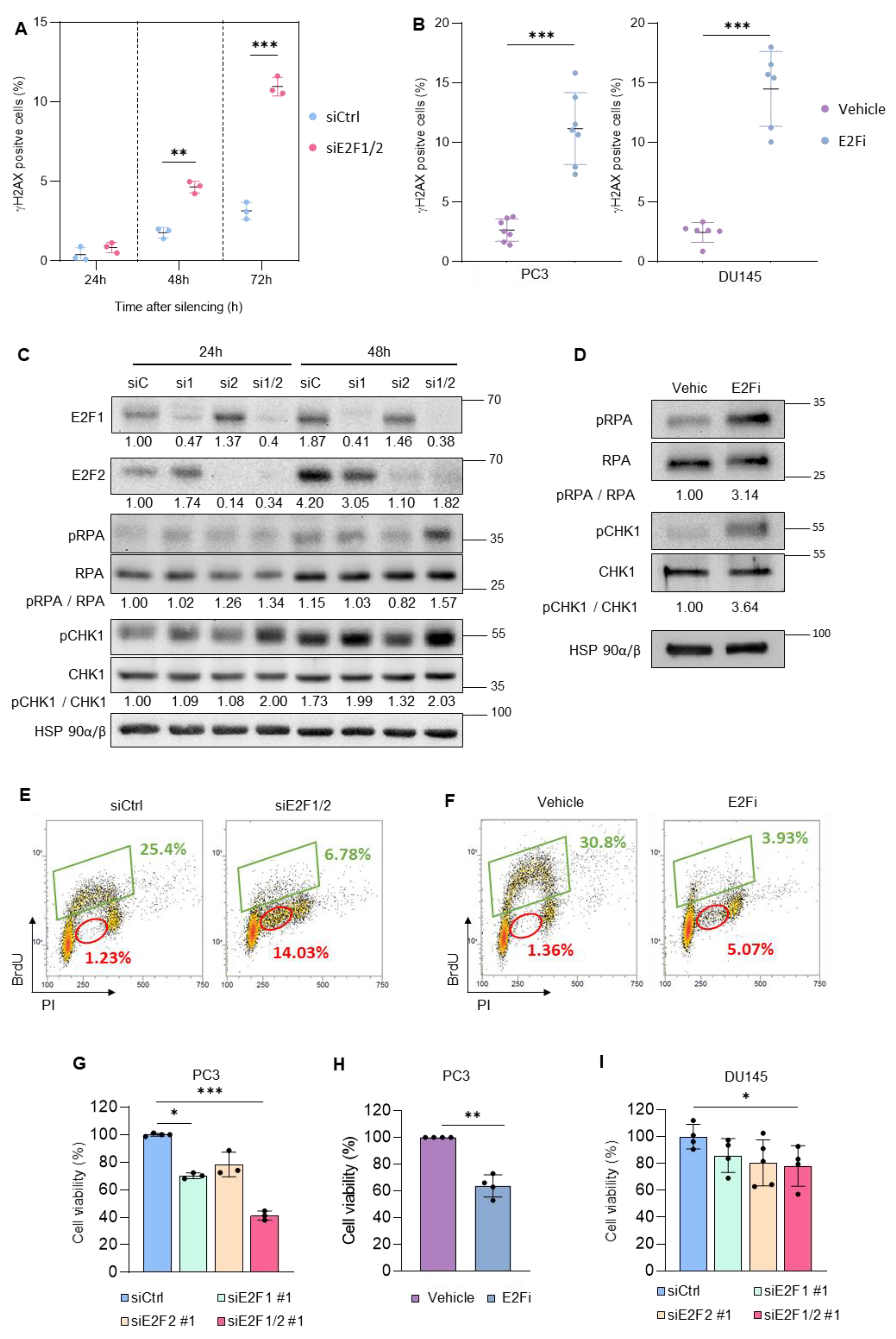 Cancers 14 04952 g001 Cancers 14 04952 g001