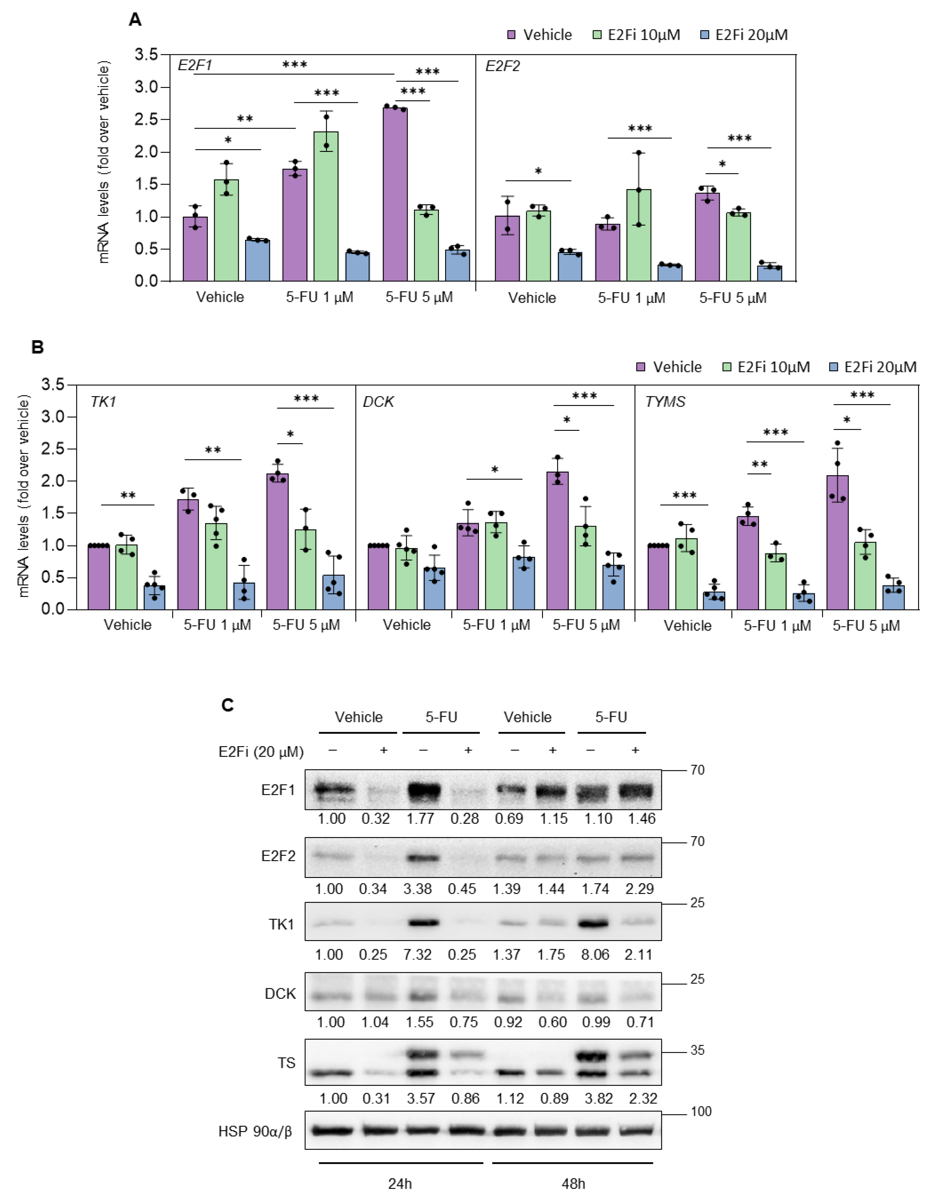 Cancers 14 04952 g004 Cancers 14 04952 g004