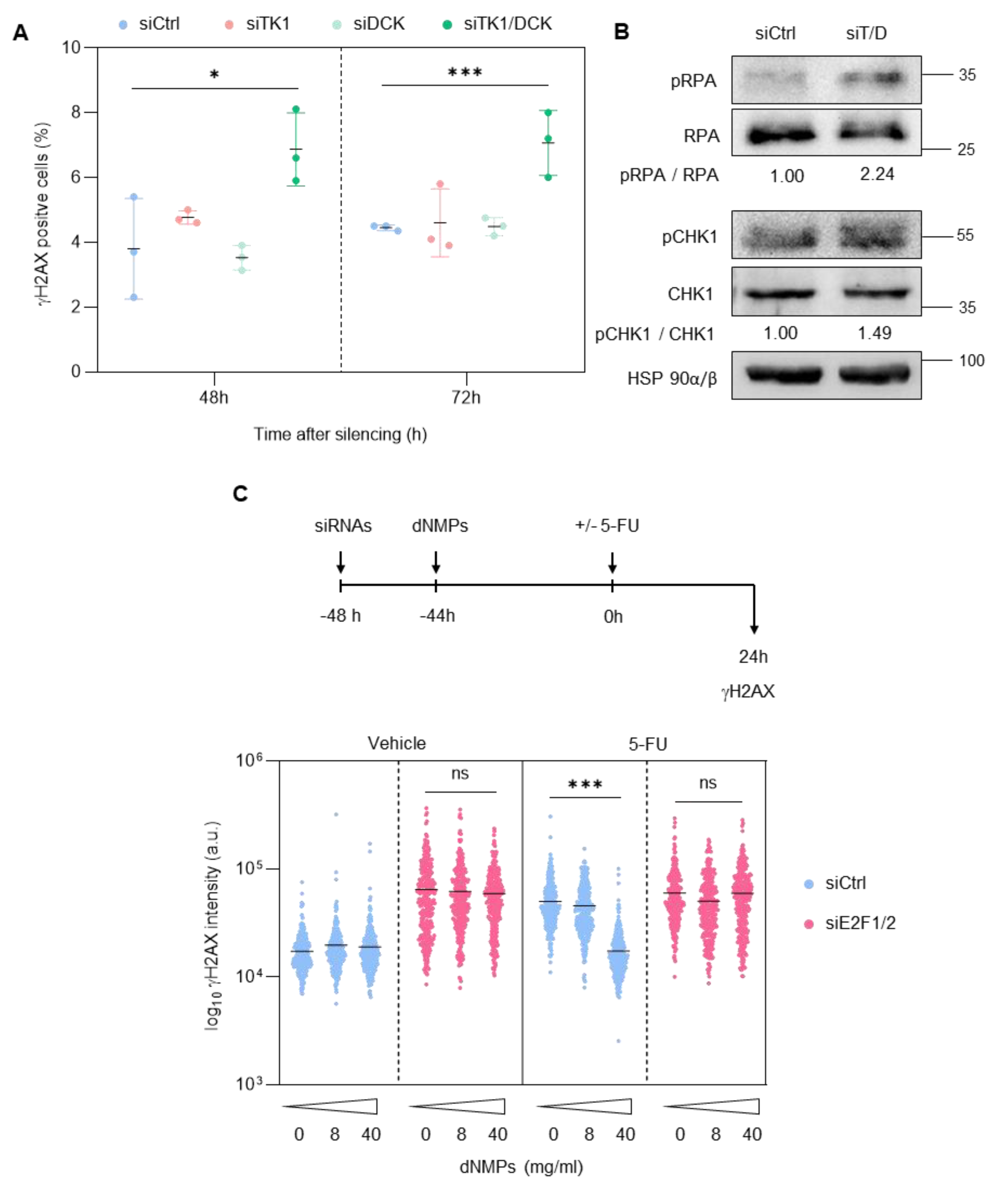 Cancers 14 04952 g005 Cancers 14 04952 g005