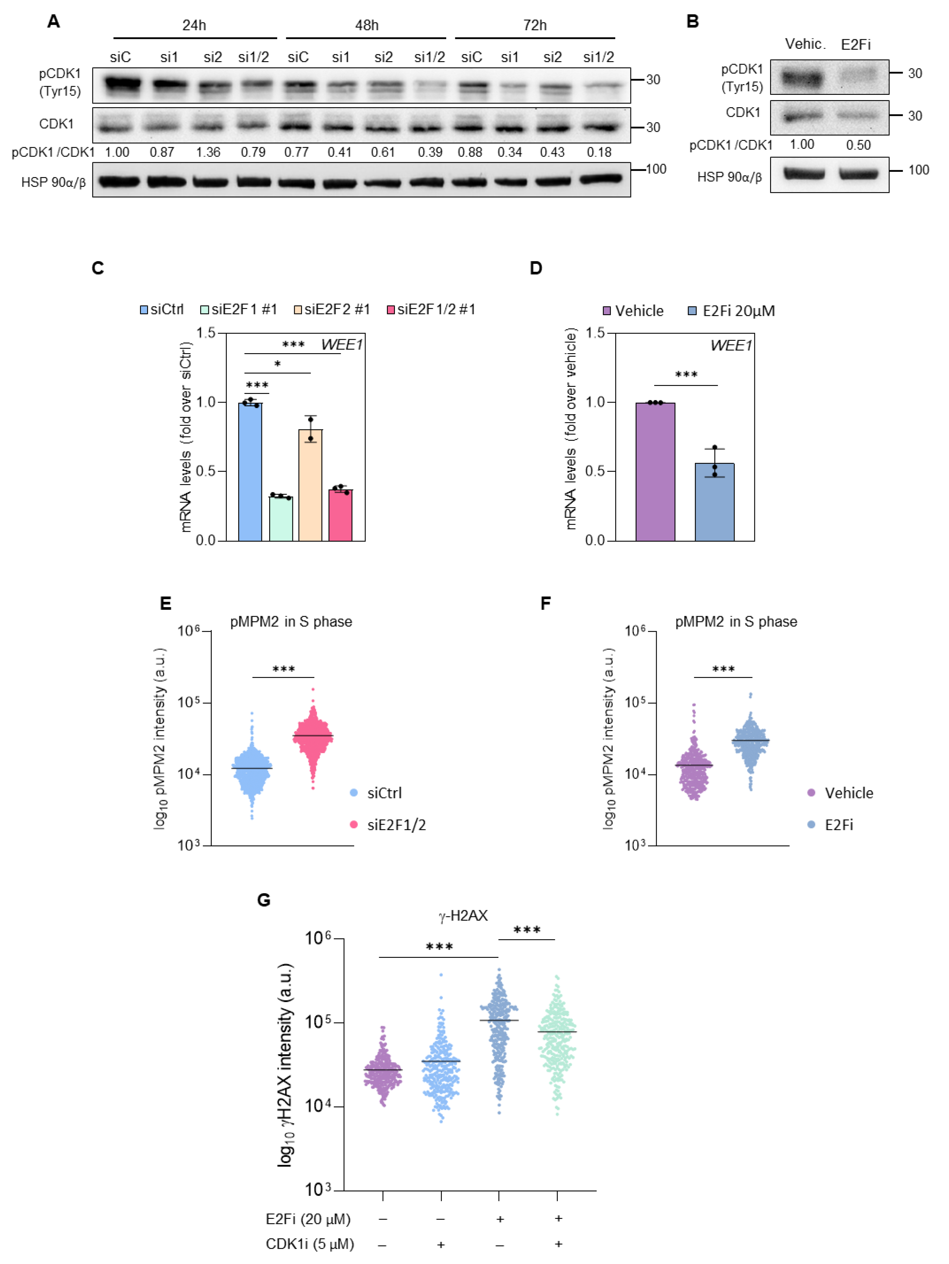 Cancers 14 04952 g006 Cancers 14 04952 g006