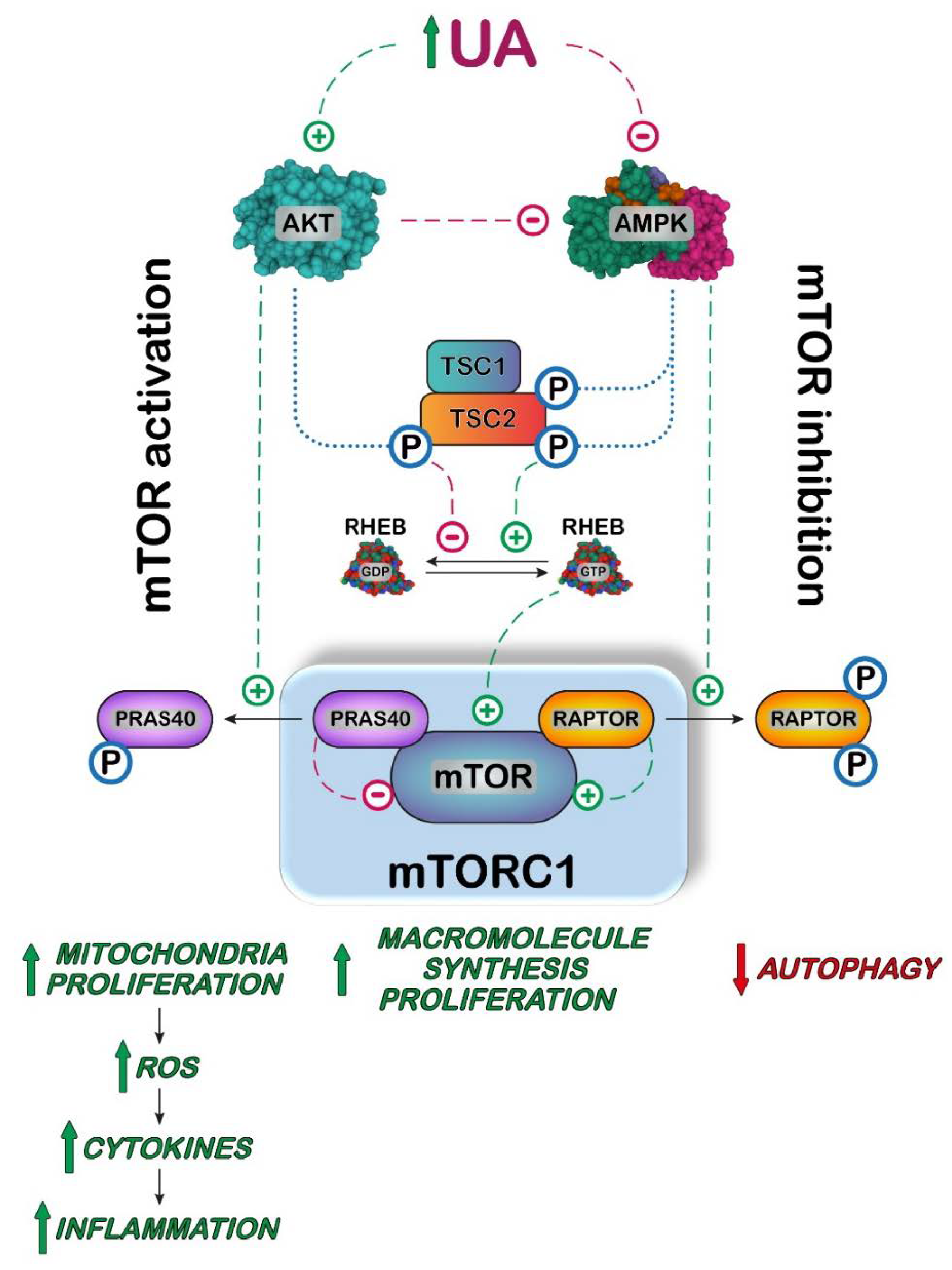 Cancers 14 04959 g006