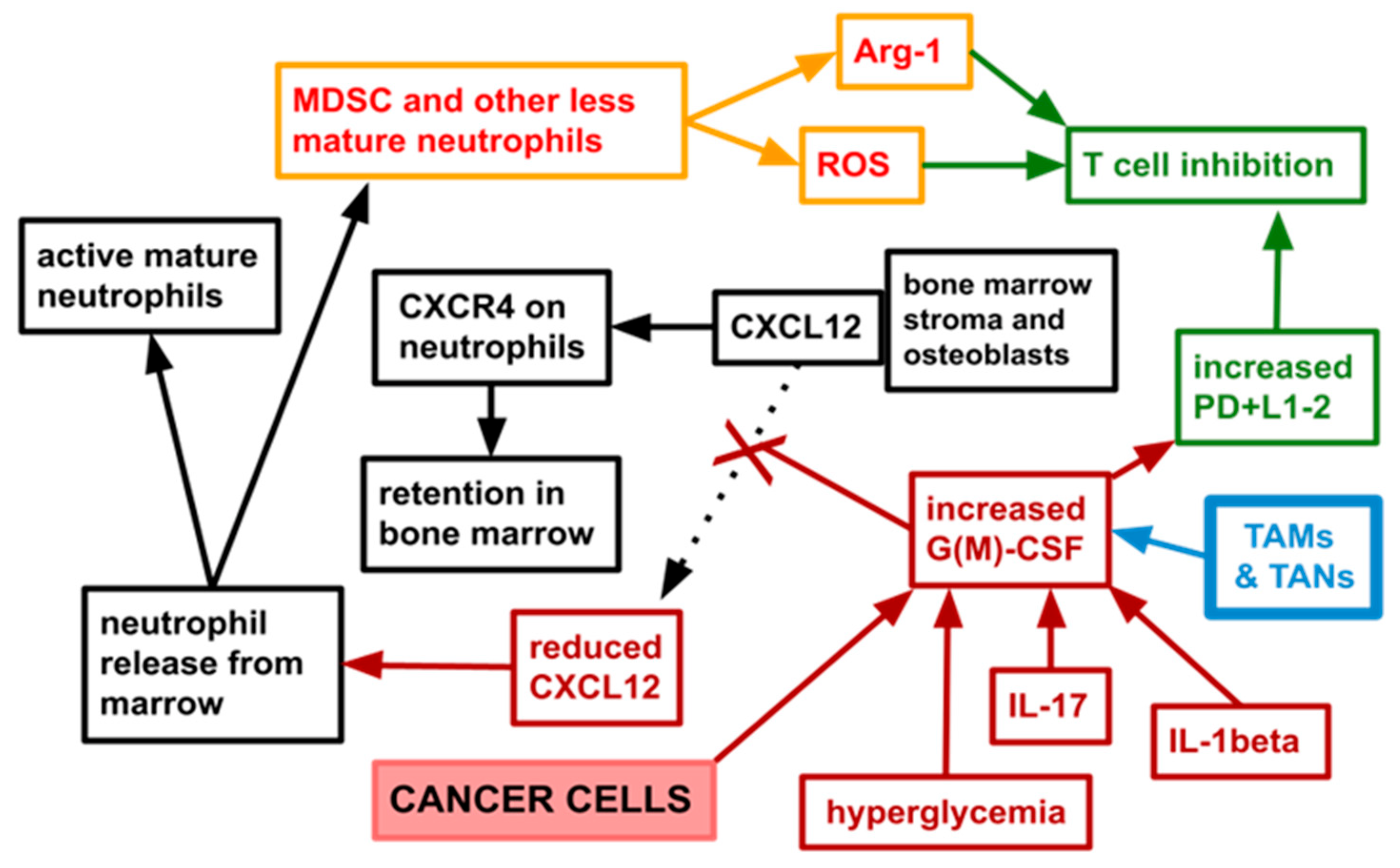 Cancers 14 04965 g001 Cancers 14 04965 g001