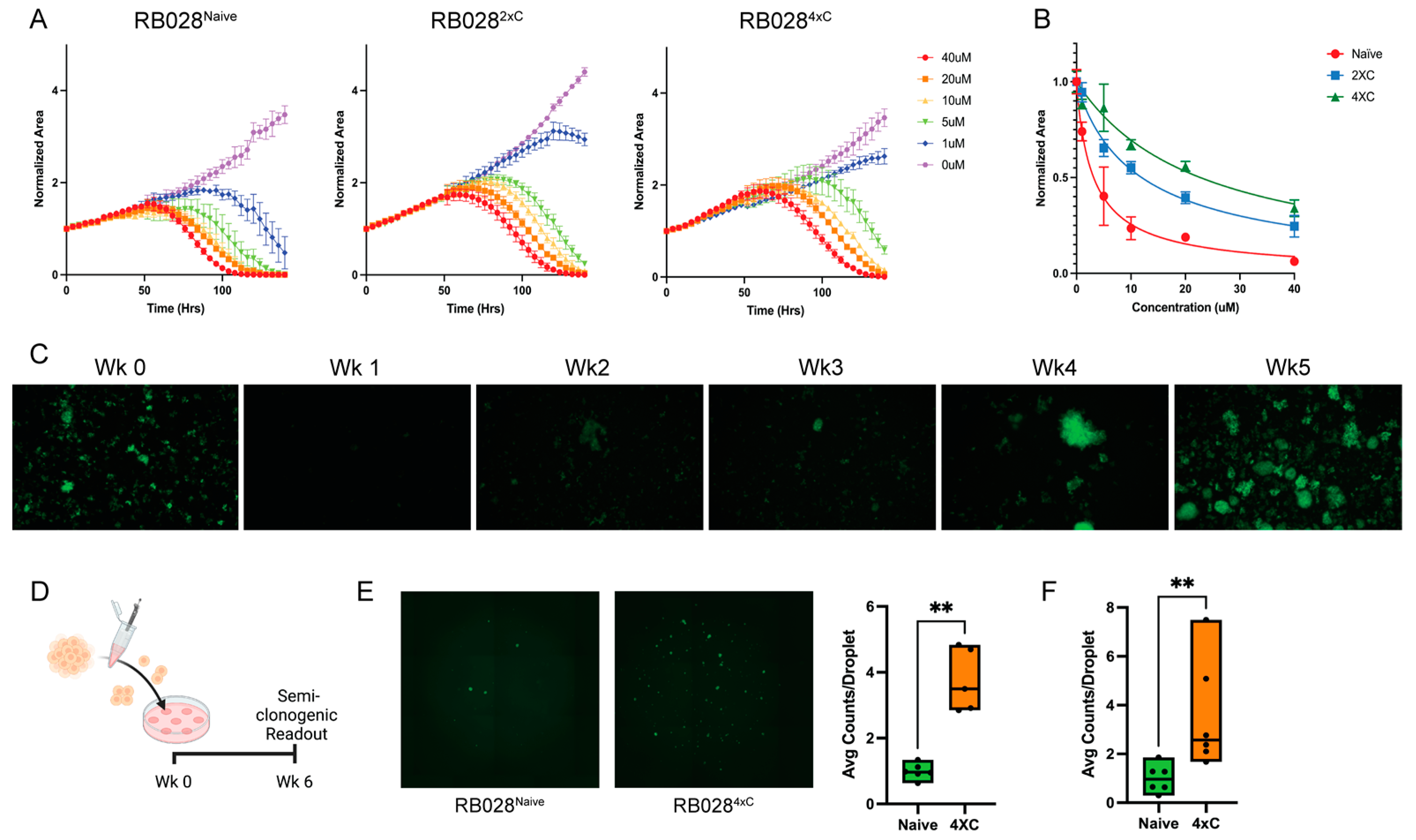 Cancers 14 04966 g001 Cancers 14 04966 g001