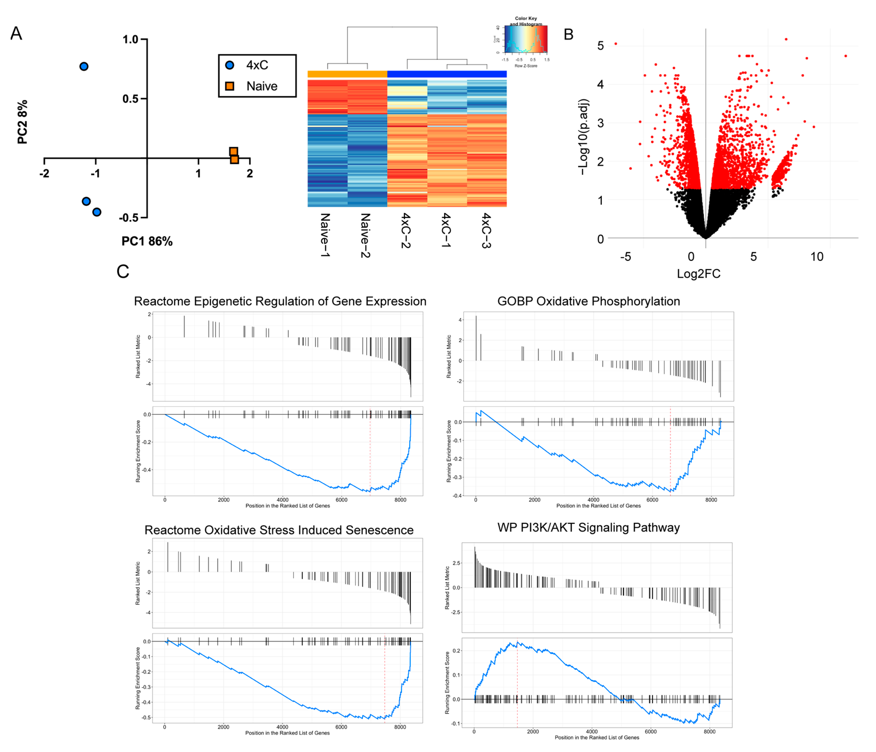 Cancers 14 04966 g002 Cancers 14 04966 g002