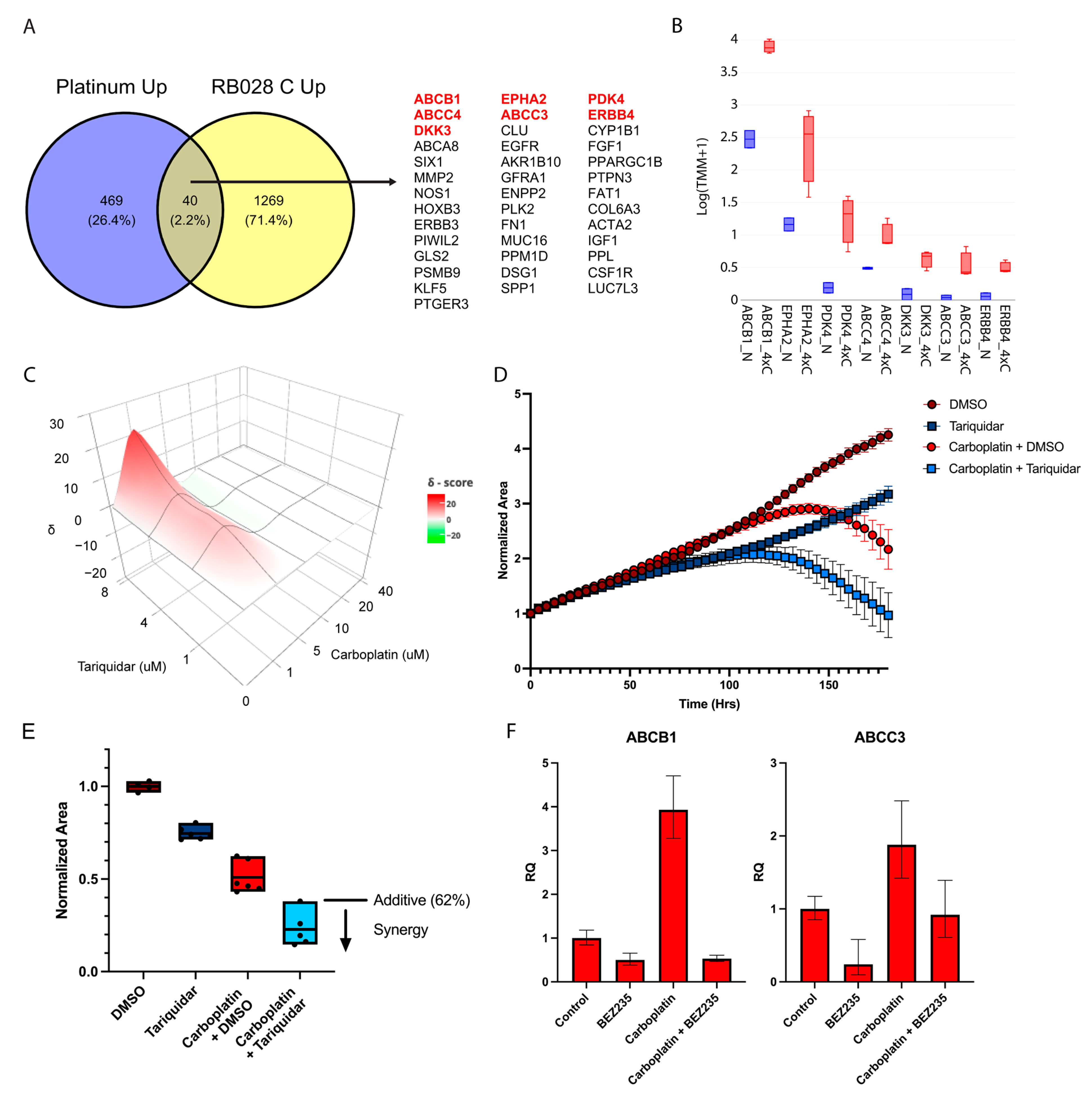 Cancers 14 04966 g004 Cancers 14 04966 g004