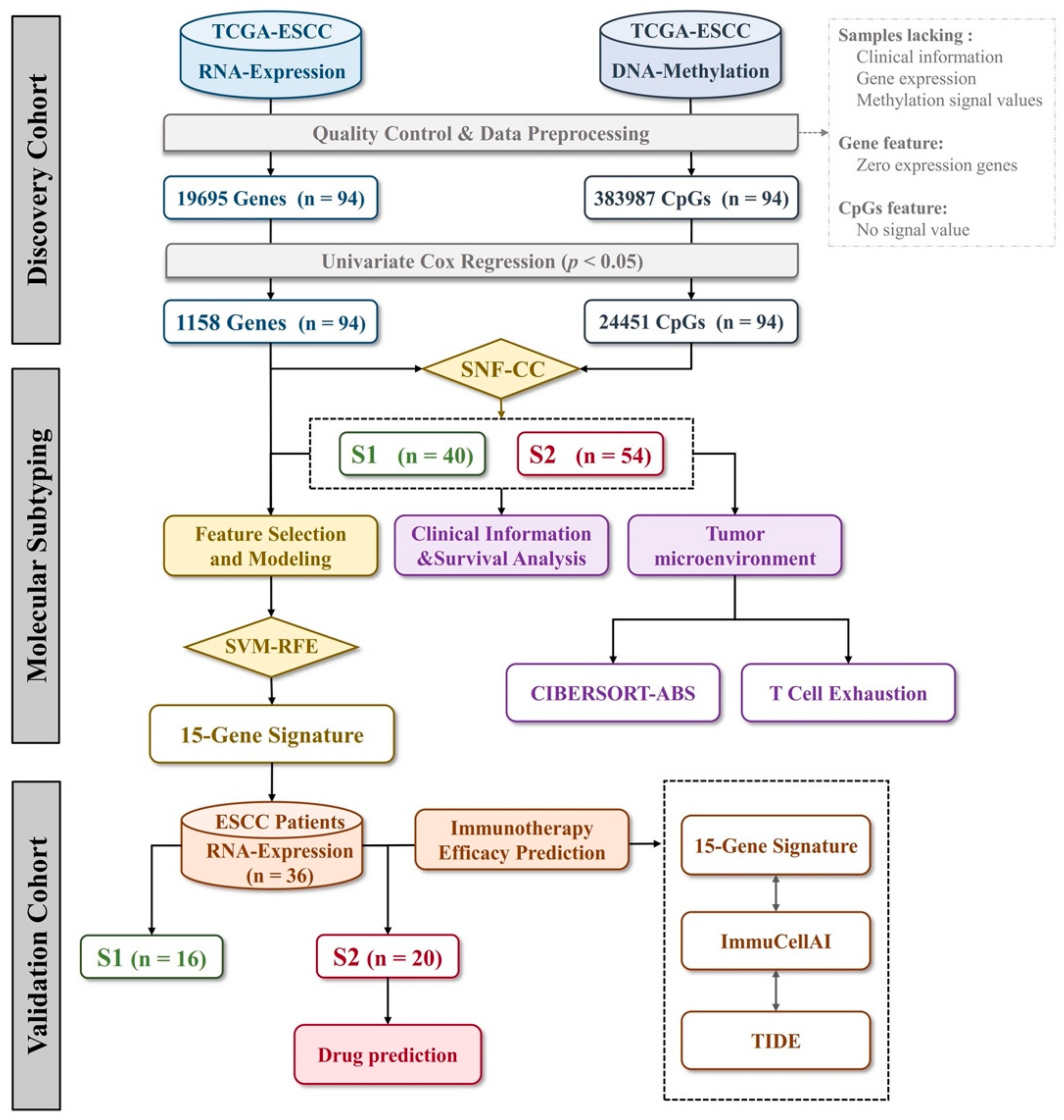 Cancers 14 04970 g001