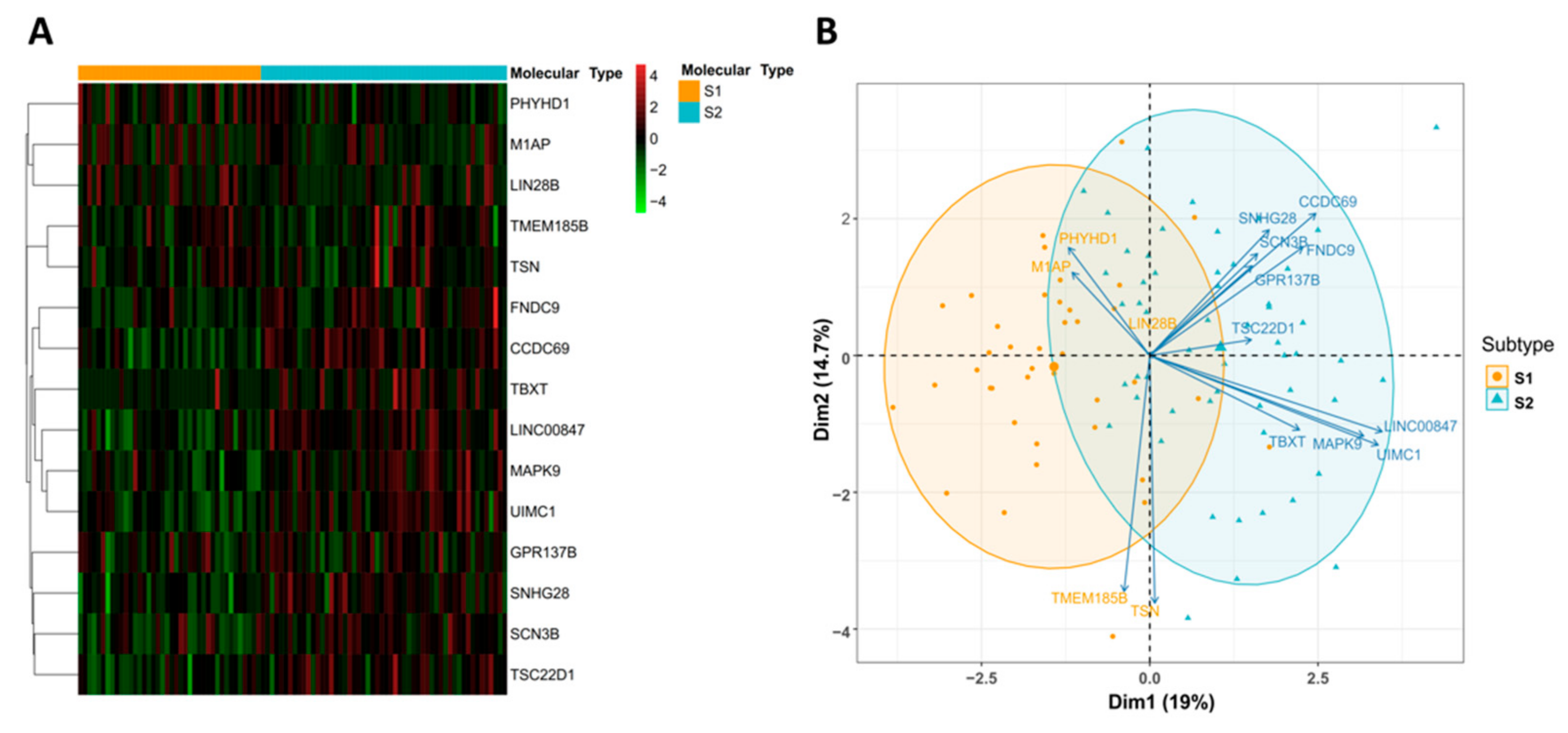 Cancers 14 04970 g005