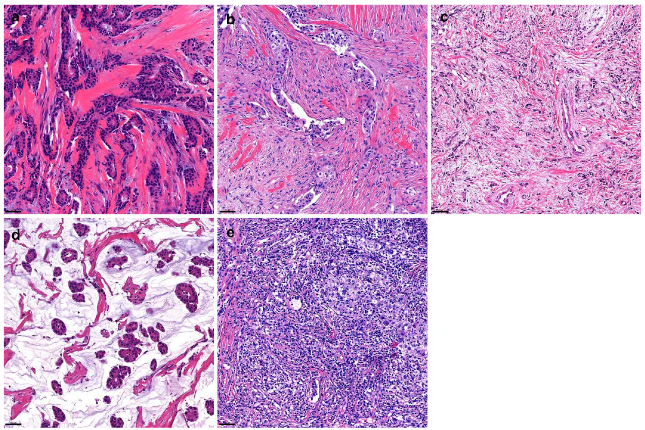 Cancers 14 04971 g002