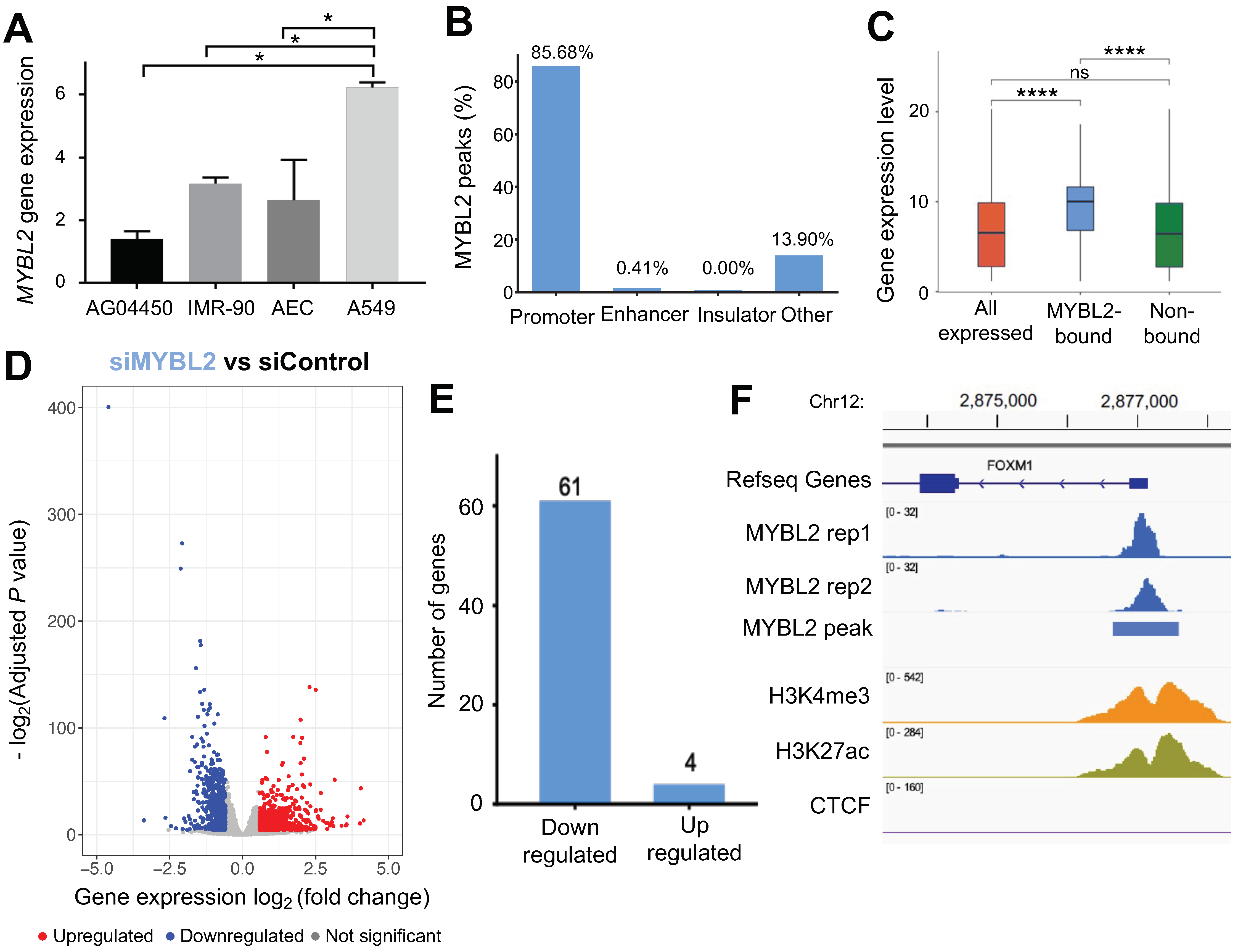 Cancers 14 04979 g001 Cancers 14 04979 g001