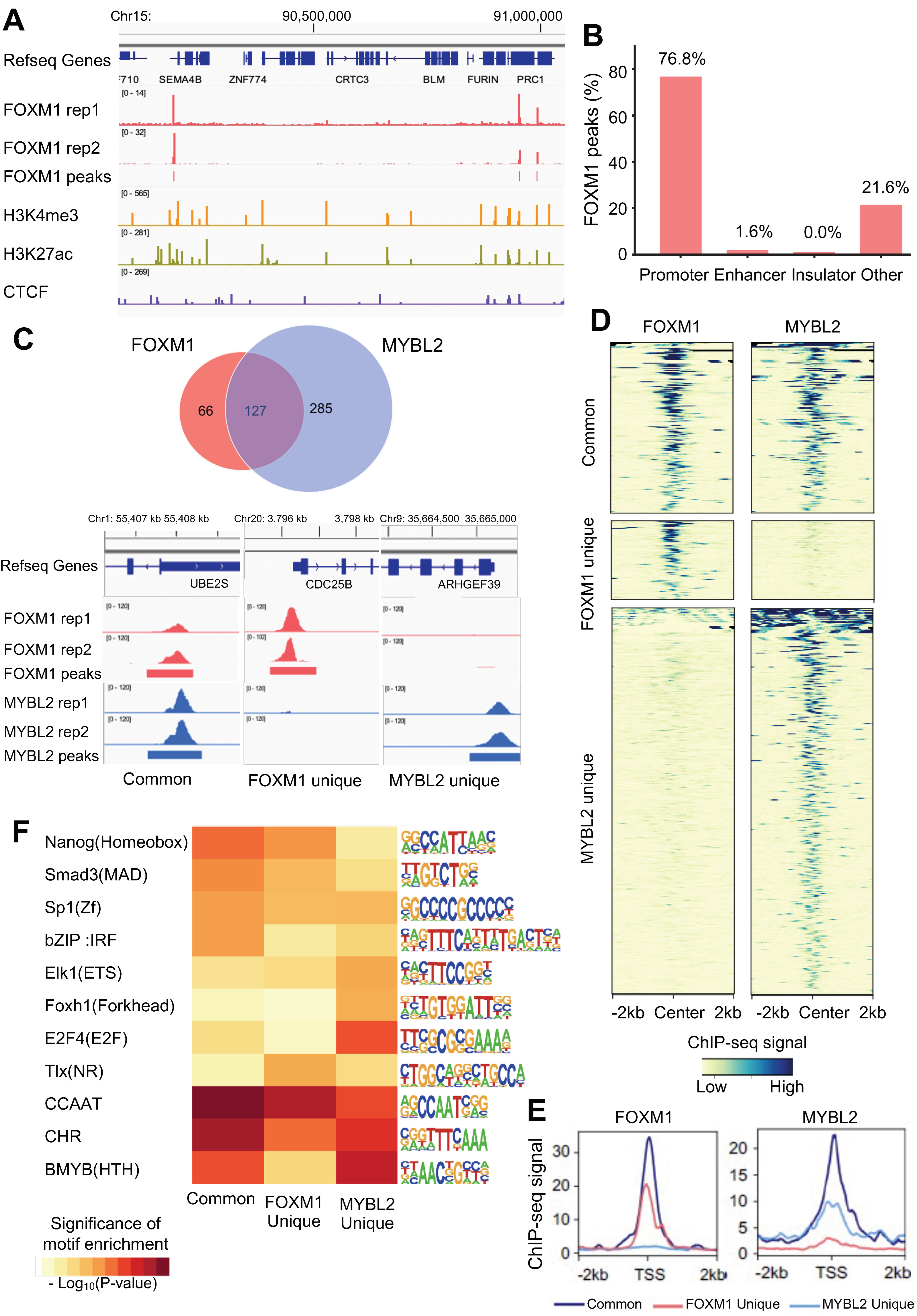 Cancers 14 04979 g002 Cancers 14 04979 g002