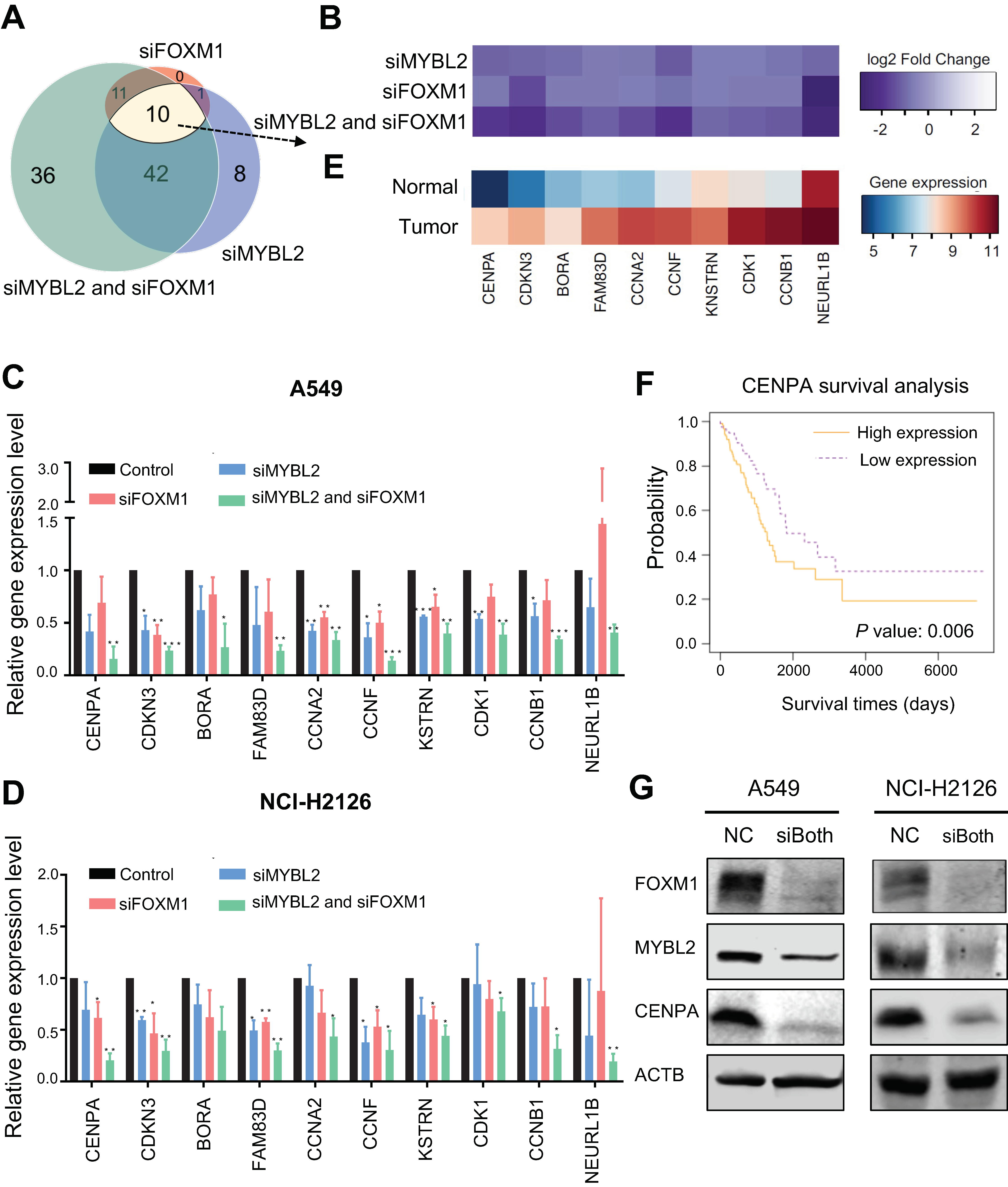 Cancers 14 04979 g004 Cancers 14 04979 g004