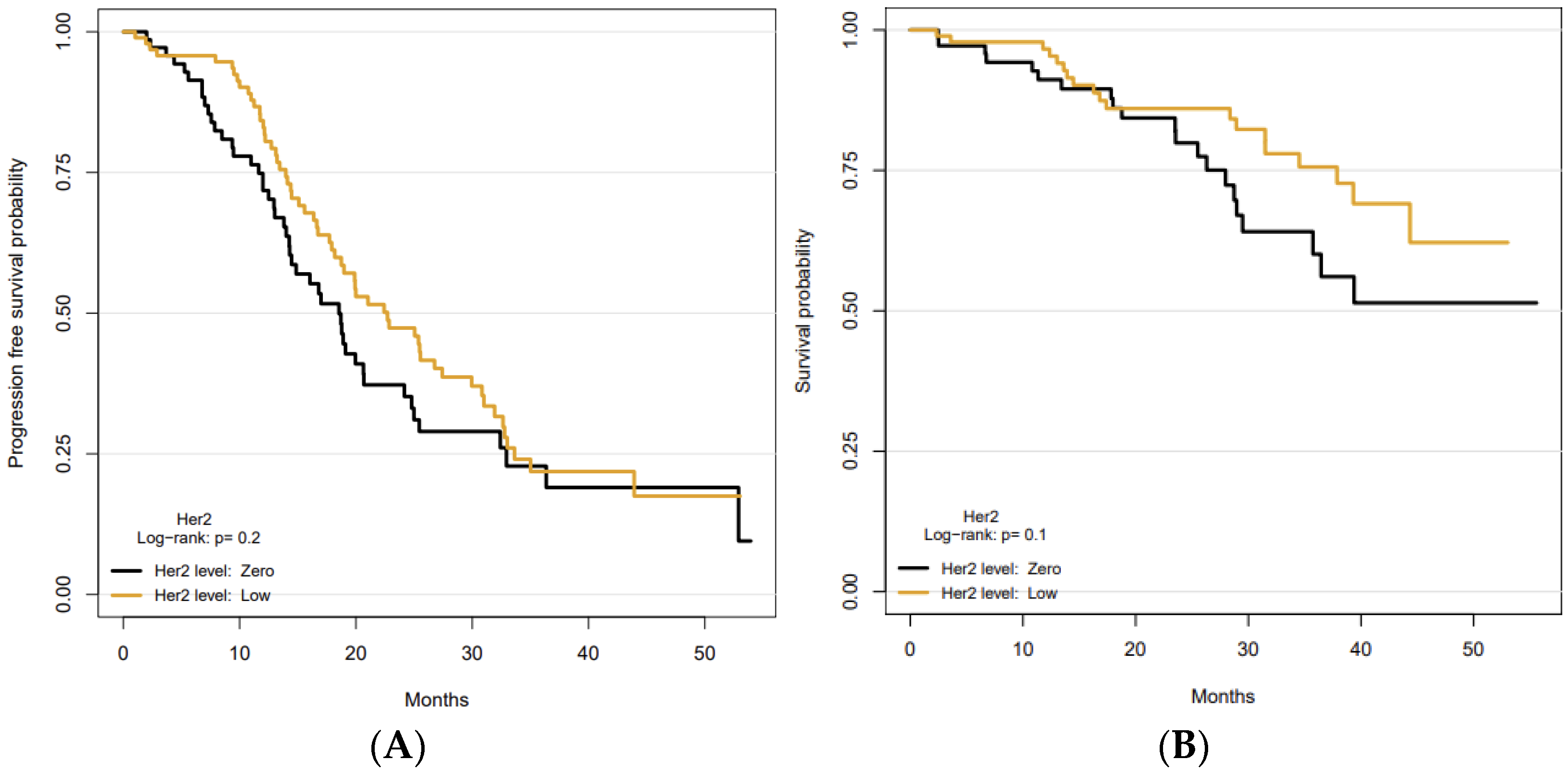 Cancers 14 04981 g001