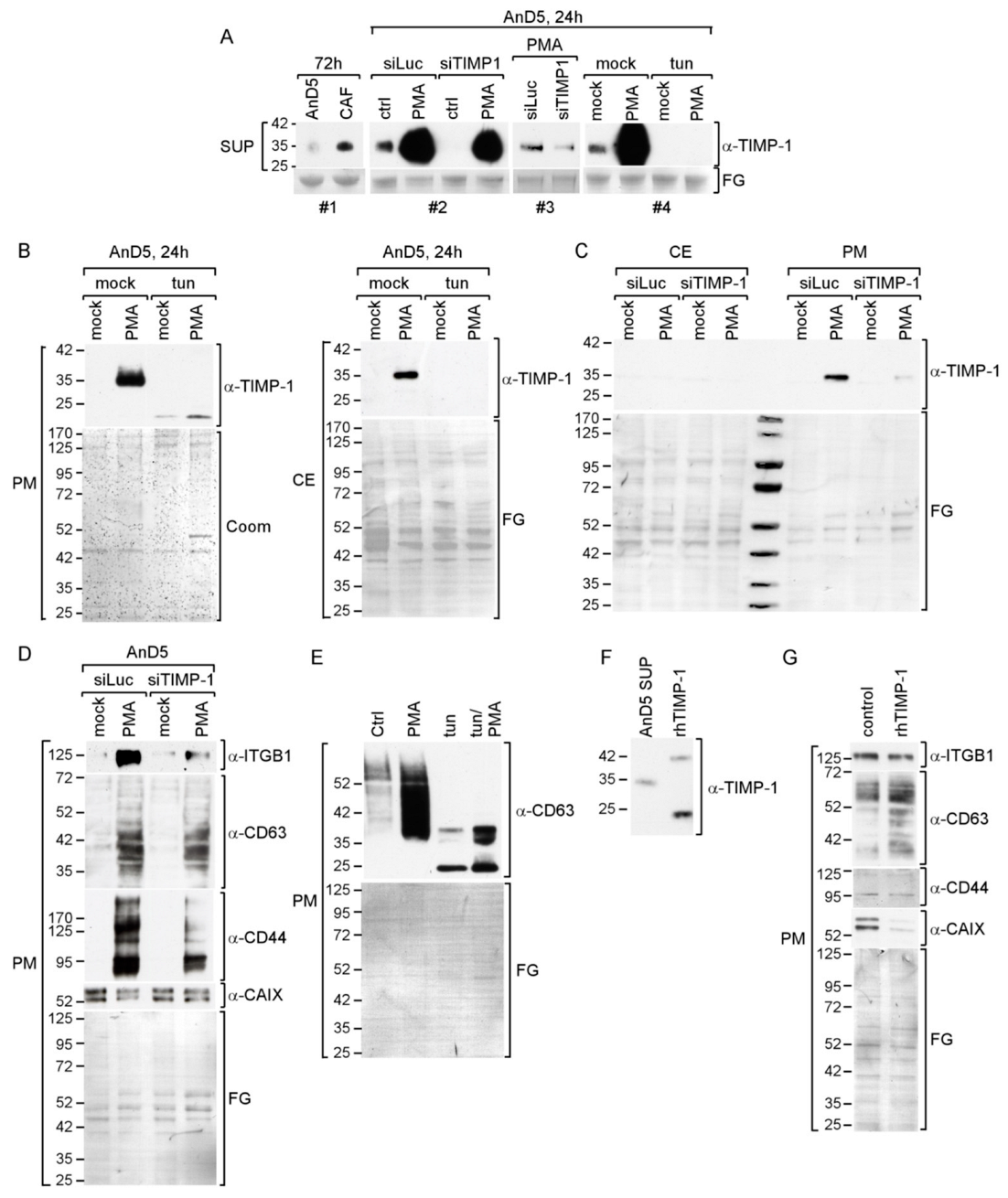 Cancers 14 04983 g001
