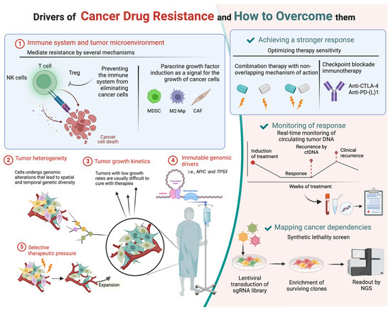Checkpoint Inhibitors in Cancer Therapy Biology Diagrams
