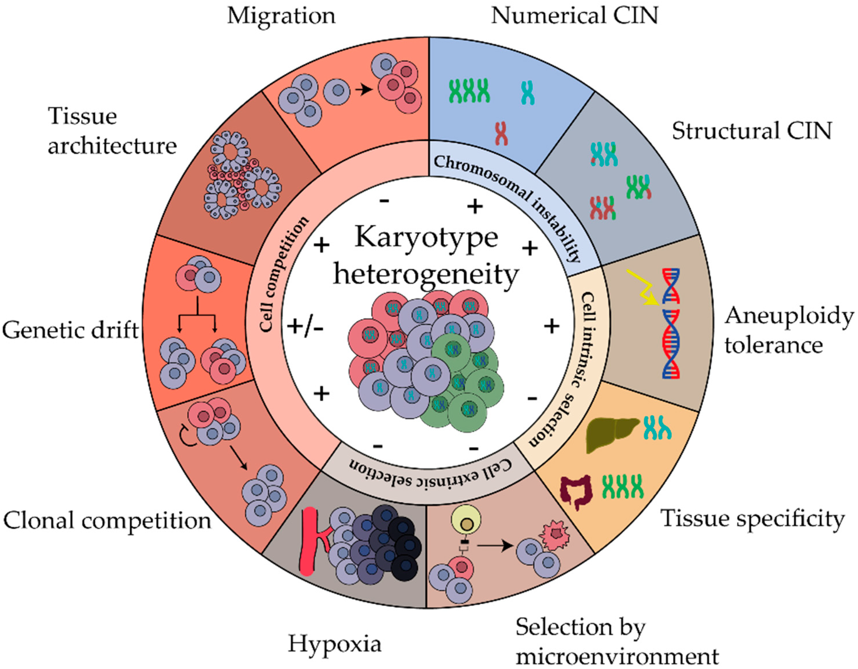 Cancers 14 04986 g001