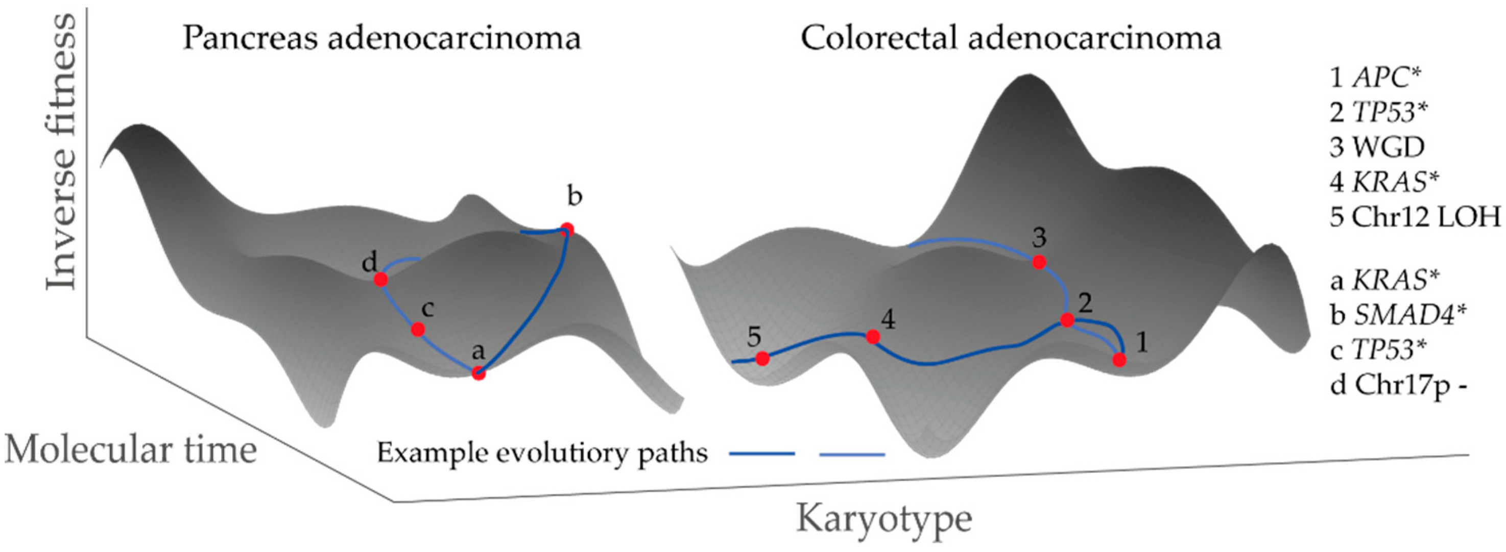 Cancers 14 04986 g002