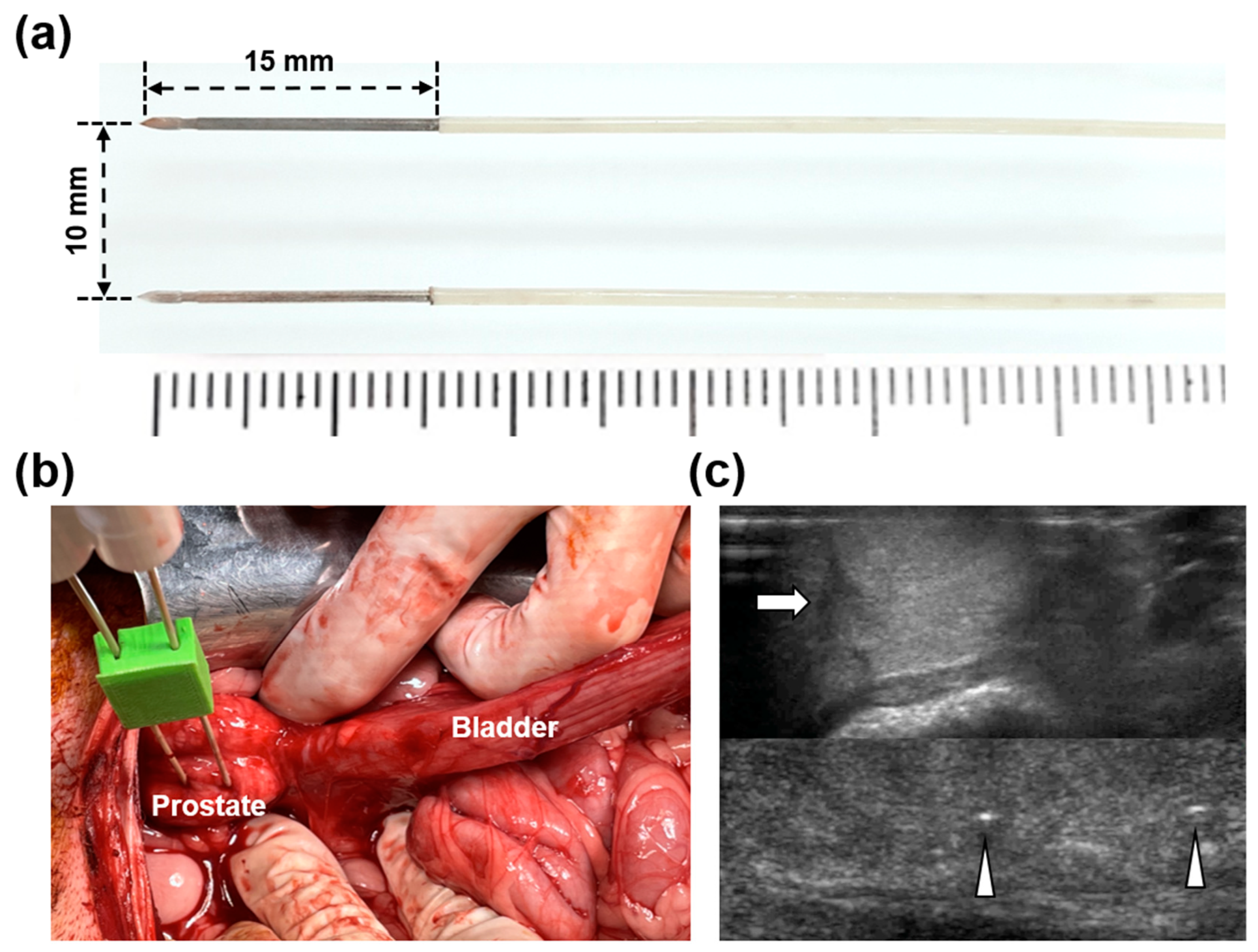 Cancers 14 04987 g001 Cancers 14 04987 g001