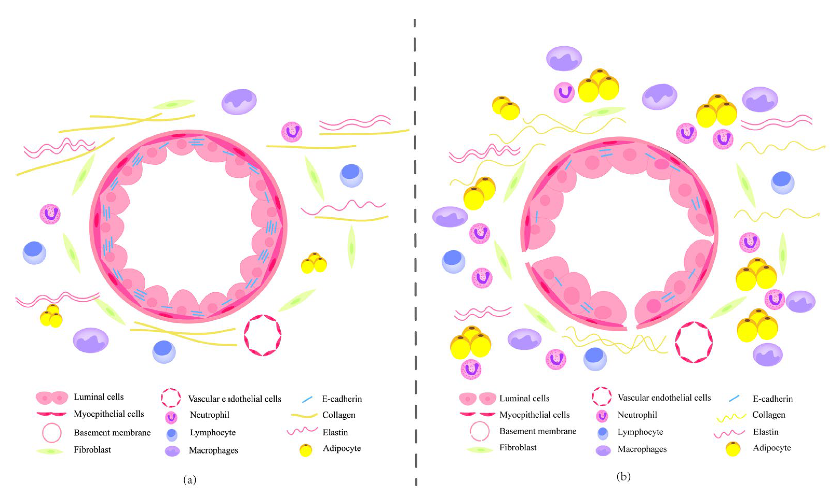 Cancers 14 04990 g001