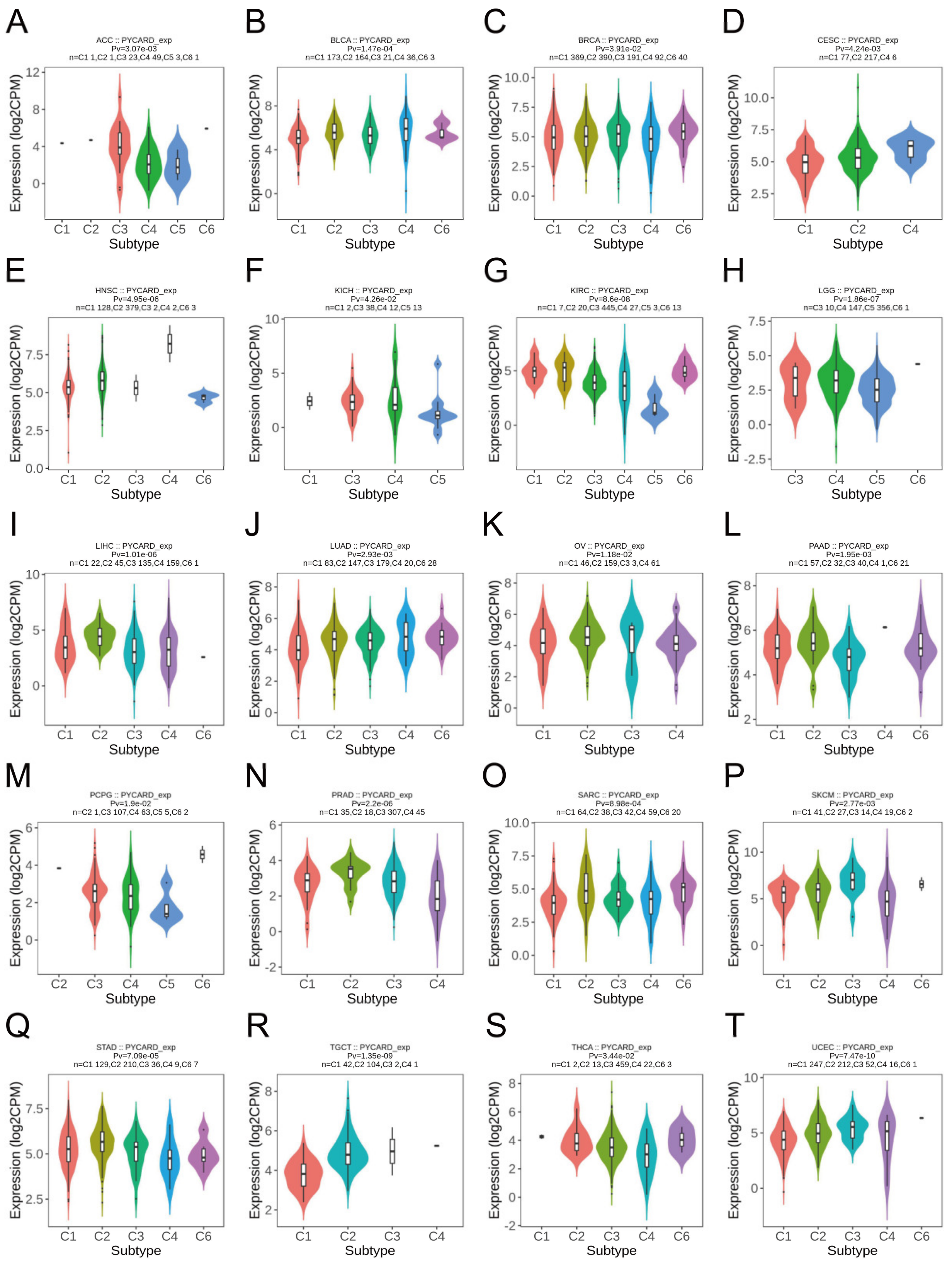 Cancers 14 04992 g002